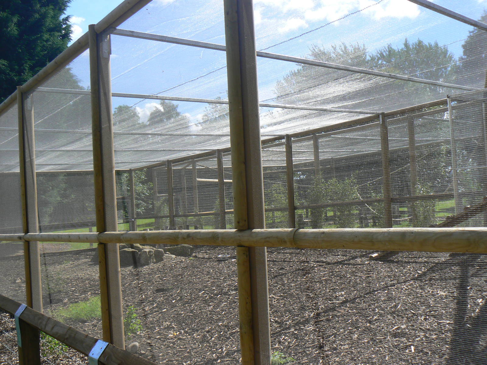 Meerkat Enclosure - 29 August 2016, Askham Bryan Wildlife and Conservation