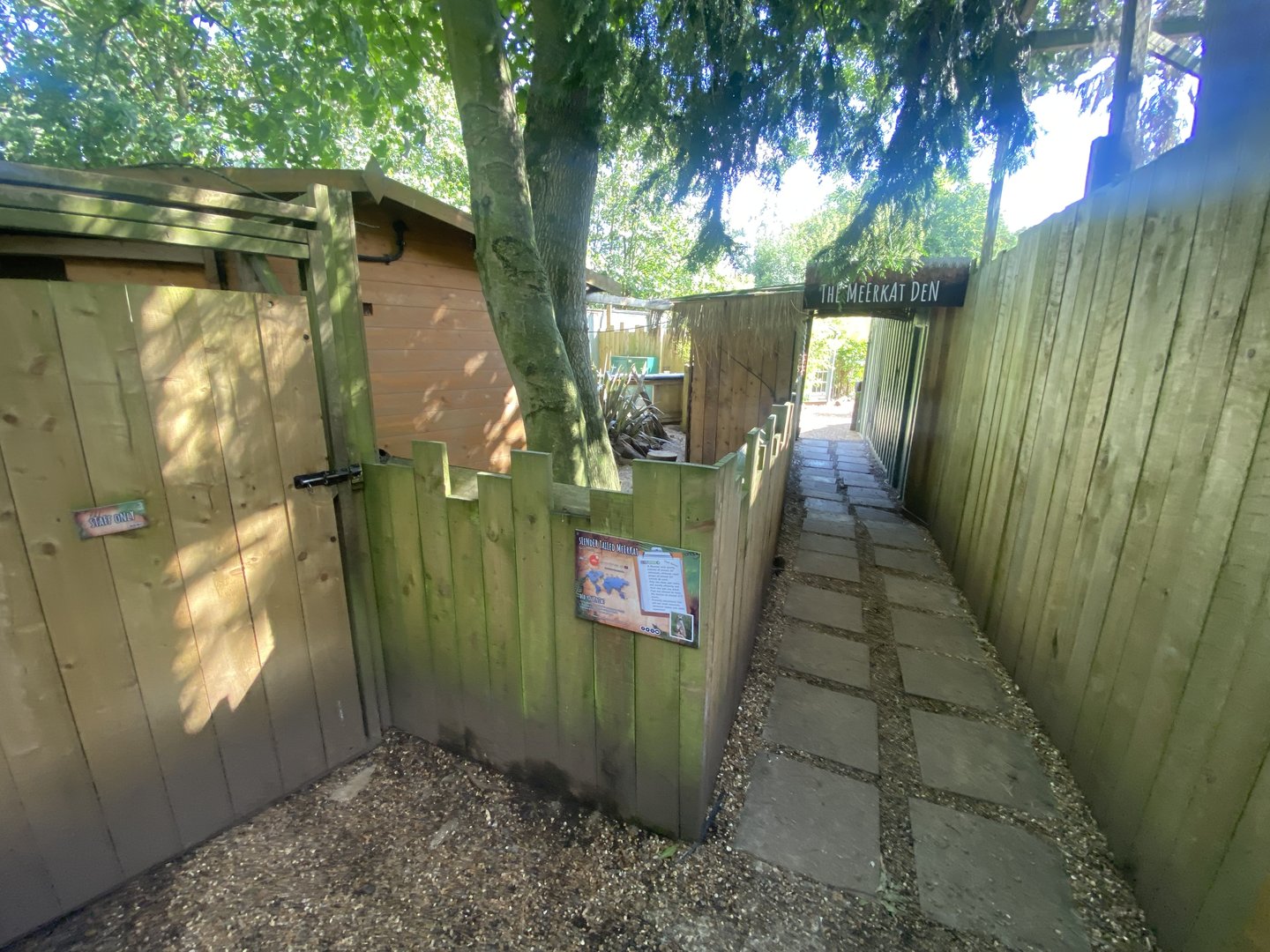 Meerkat enclosure 290723