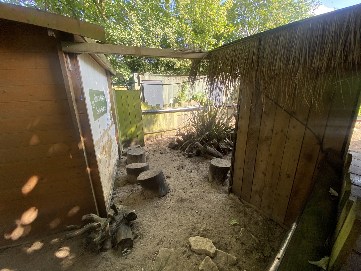 Meerkat enclosure 290723