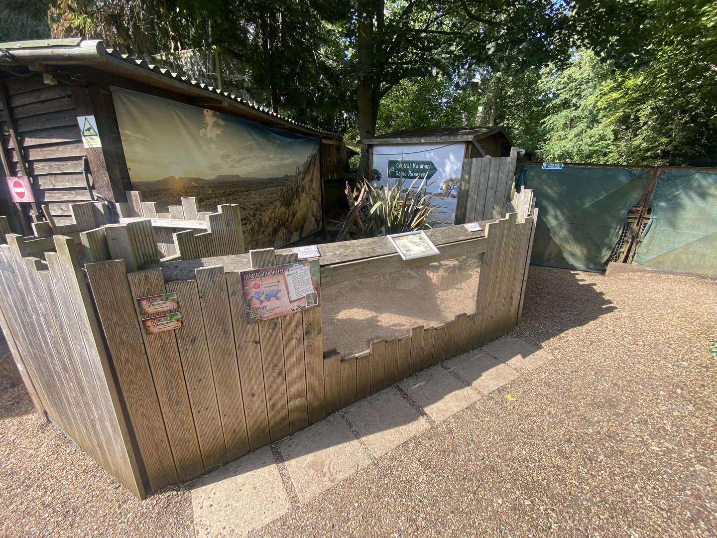 Meerkat enclosure 290723