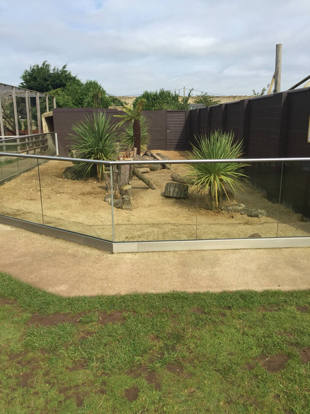 Meerkat Enclosure - 30/08/15