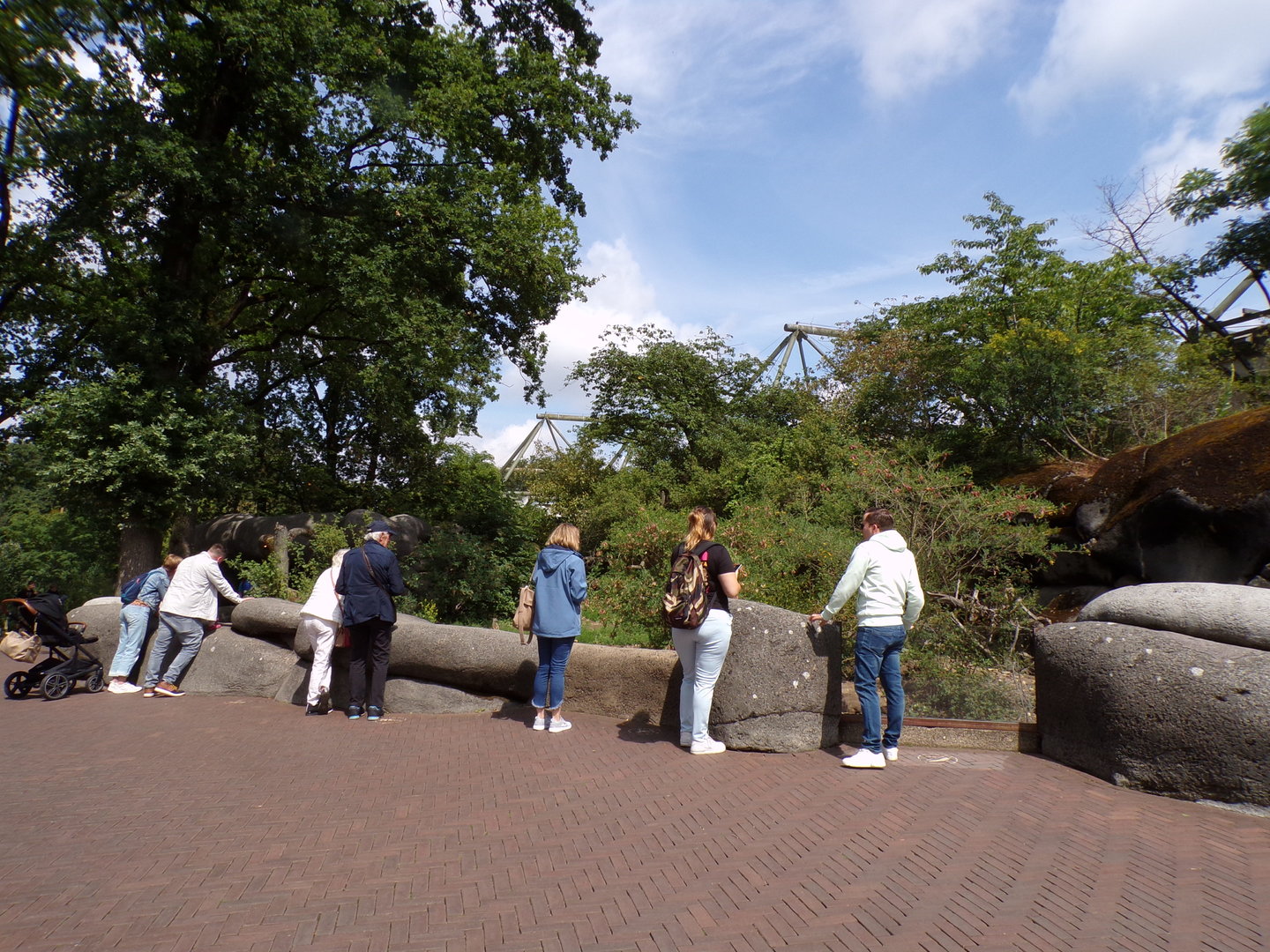 Meerkat enclosure 6.7.23