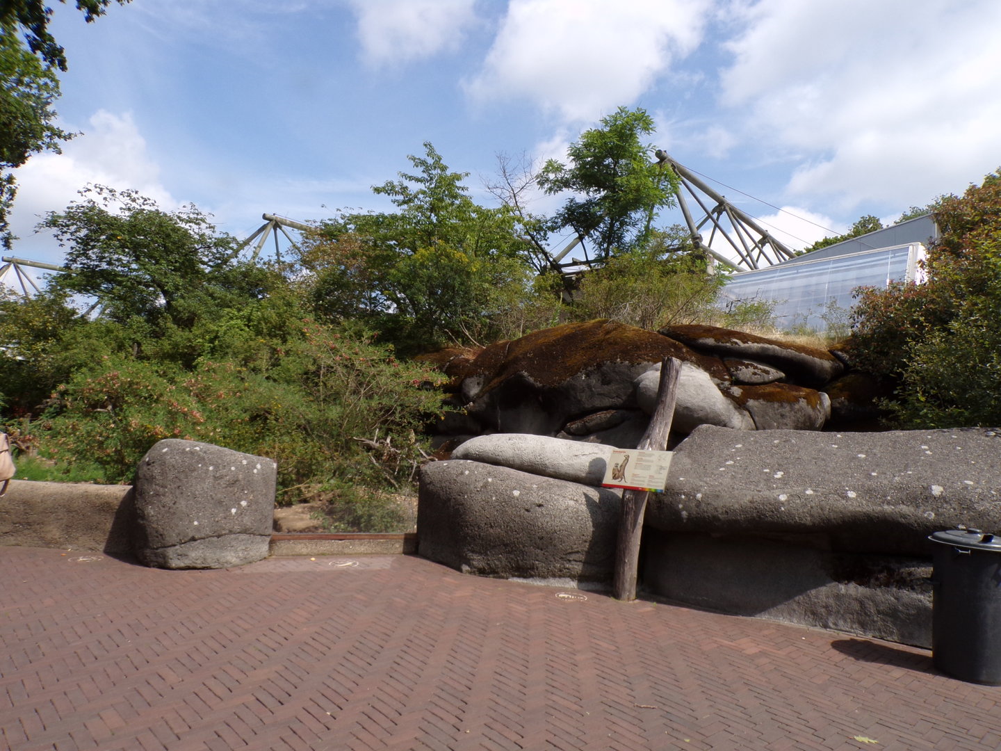 Meerkat enclosure 6.7.23