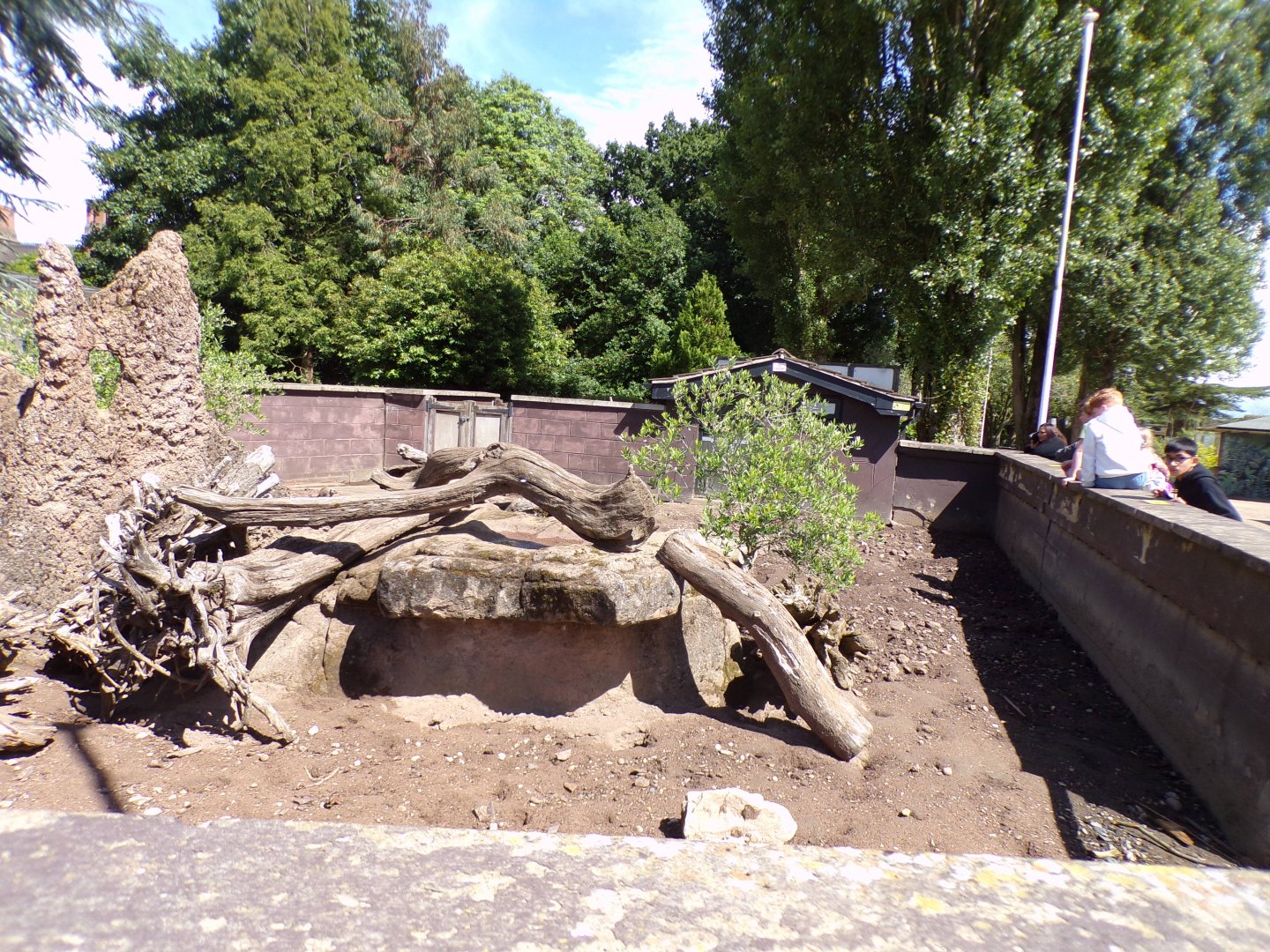 Meerkat enclosure 7.7.24