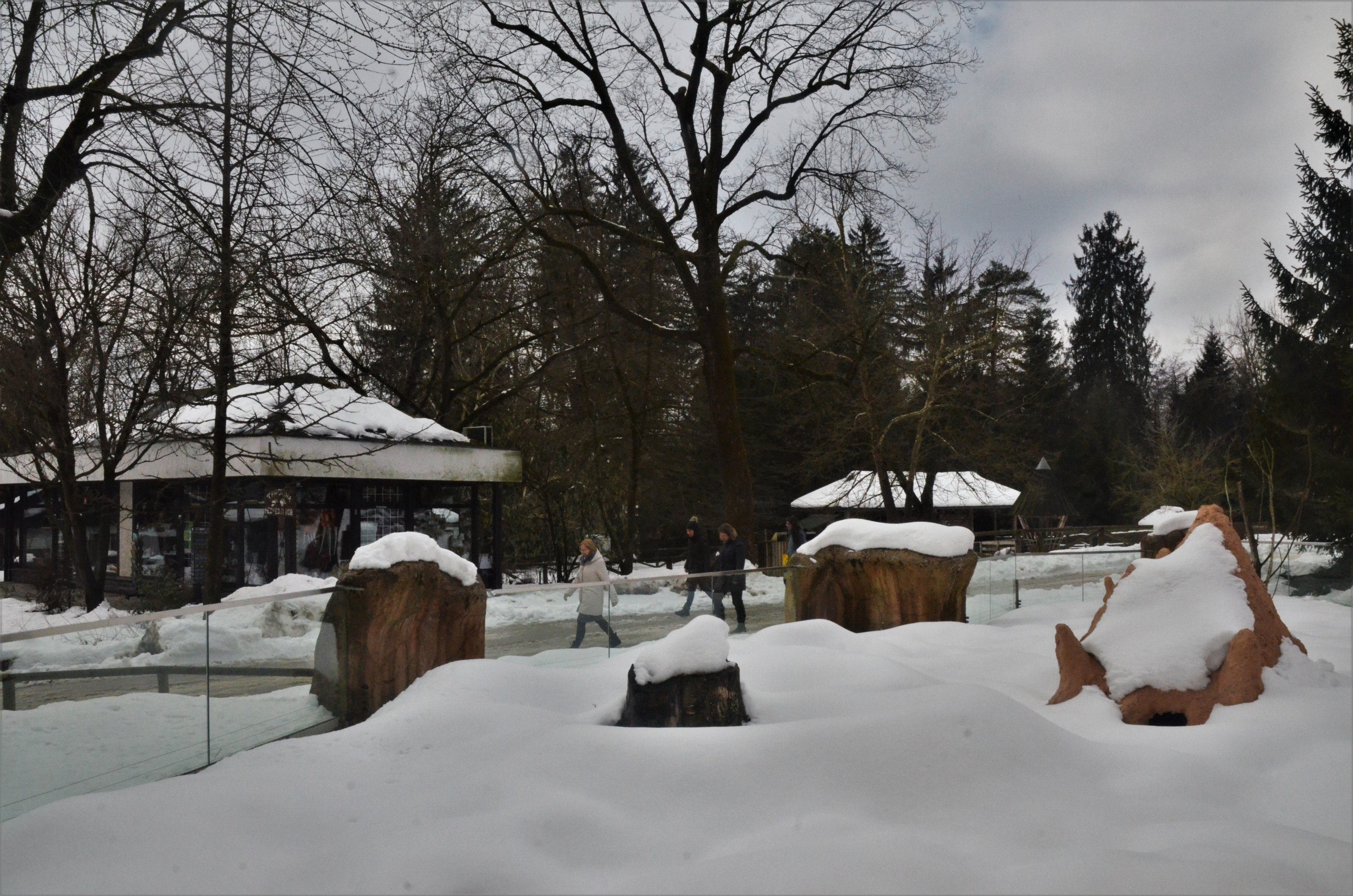 Meerkat Enclosure and Gift Shop at Ljubljana Zoo, 07/03/18