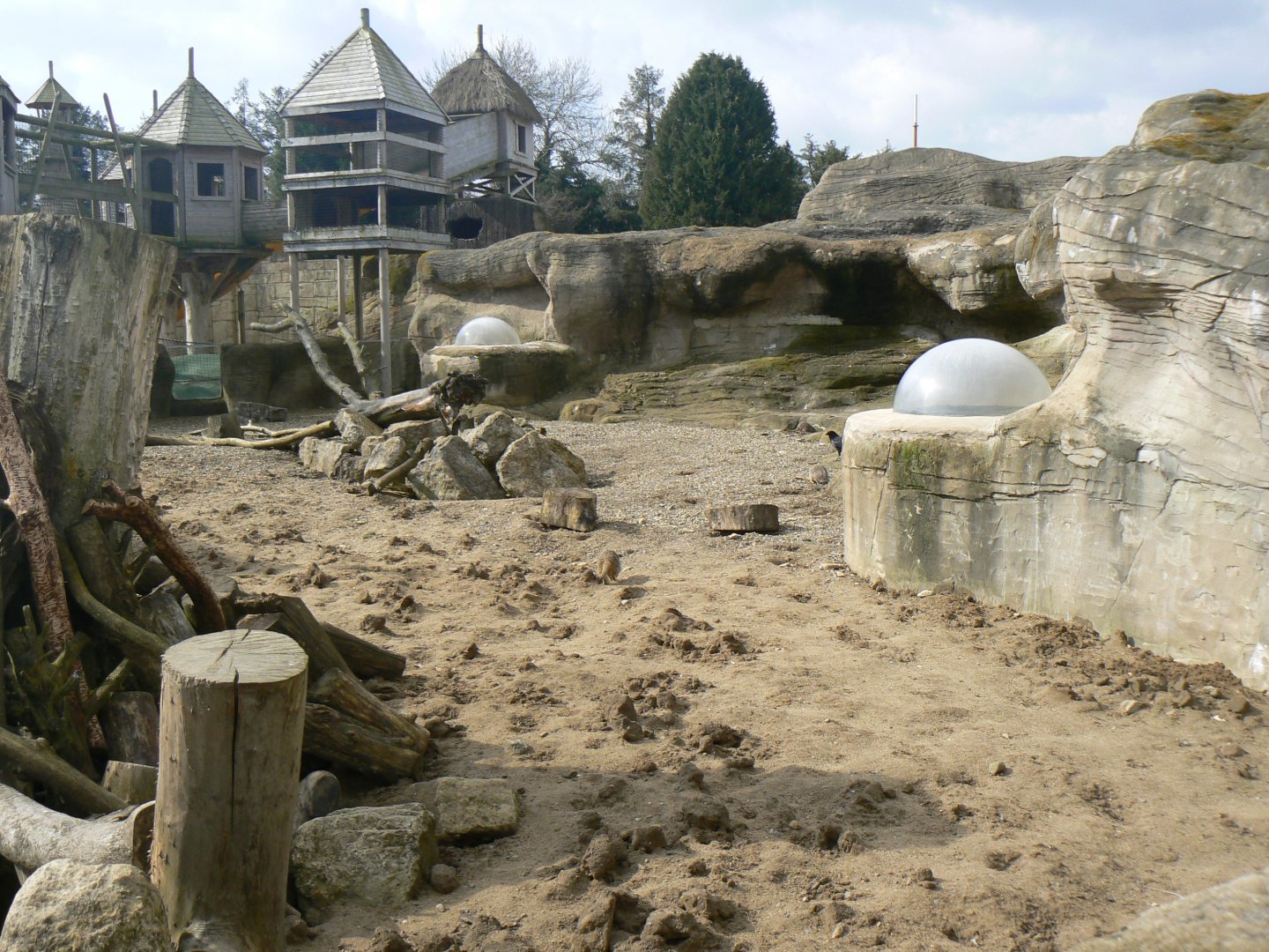 Meerkat Enclosure and Play Area  - 21 March 2018