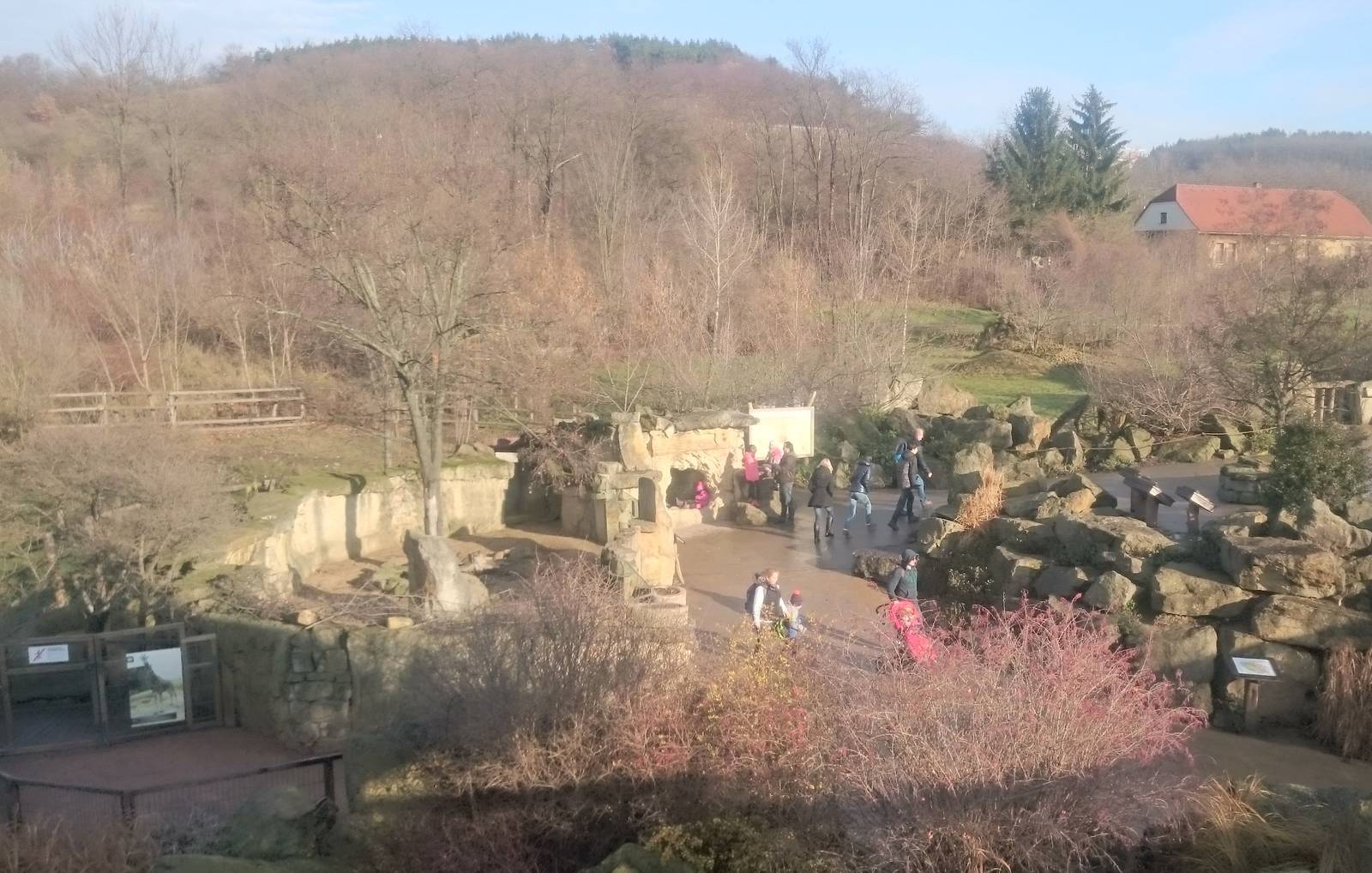 Meerkat enclosure and way to Giraffe-house