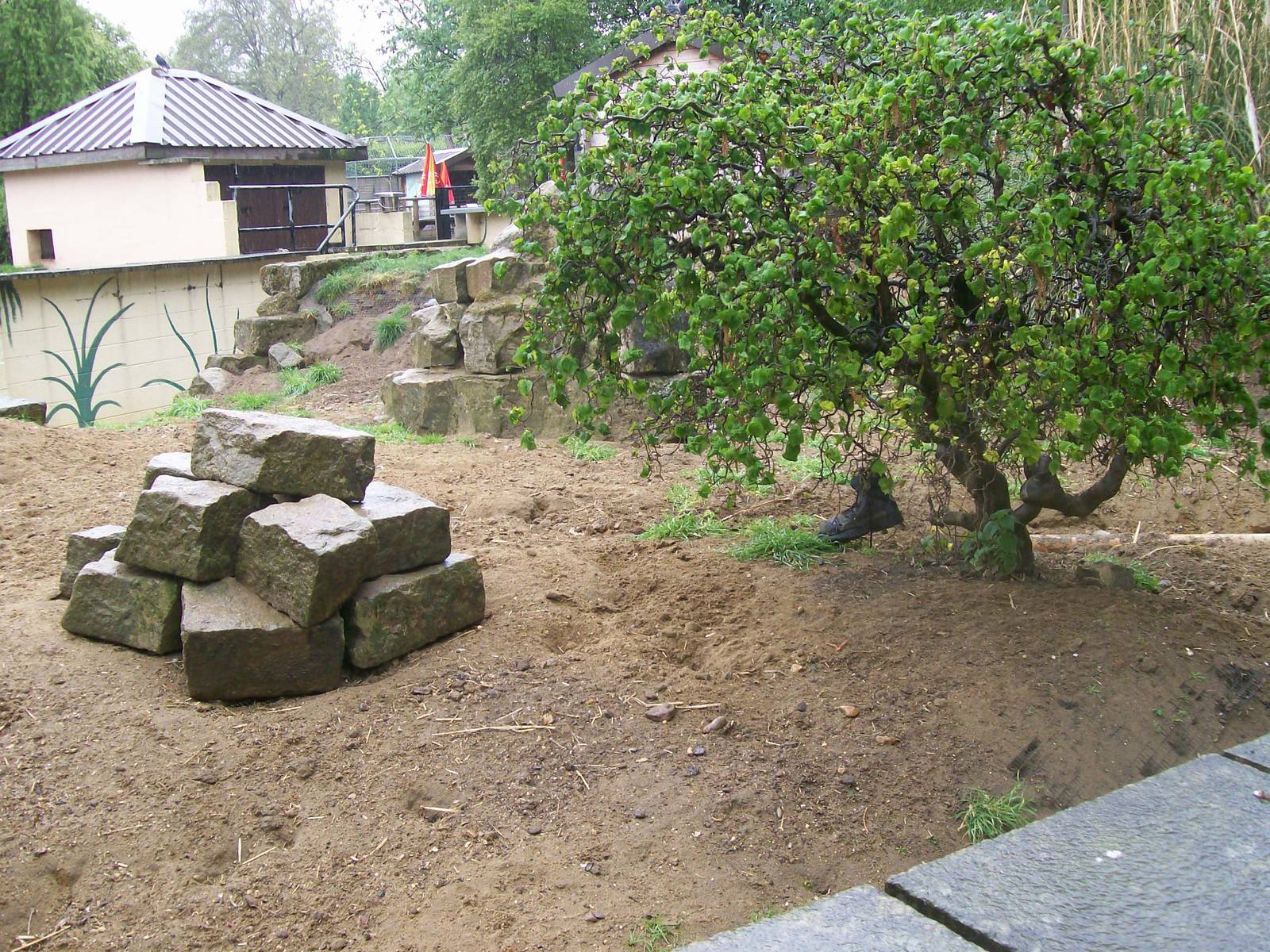 Meerkat enclosure (angle 3)