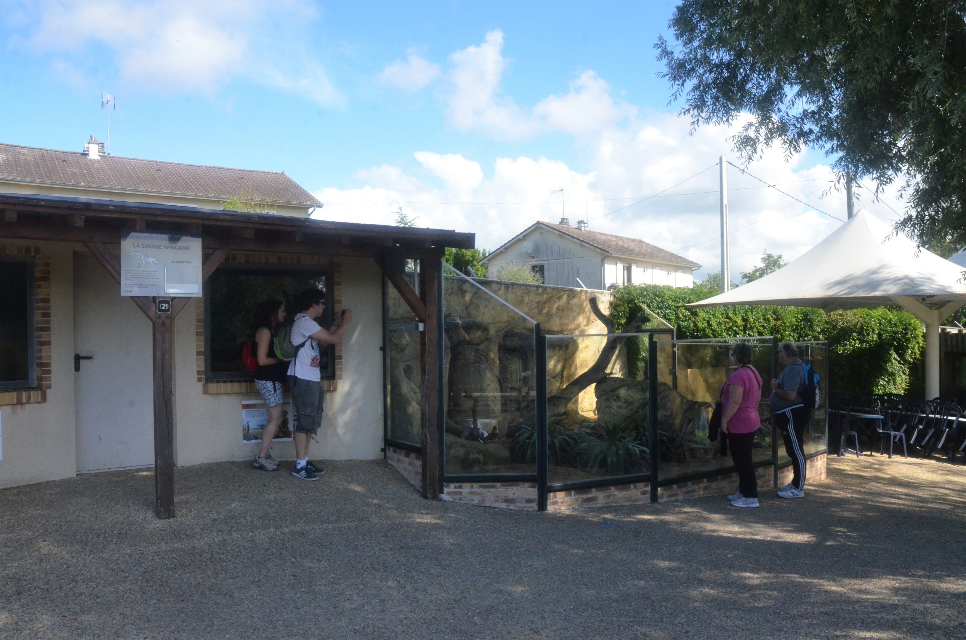 Meerkat Enclosure at Beauval, 12/06/18