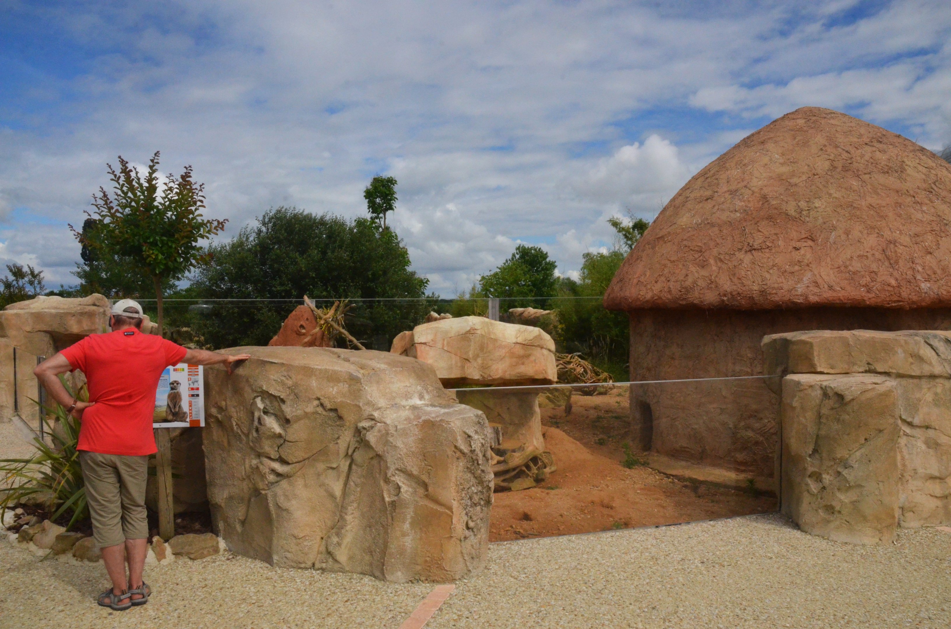 Meerkat Enclosure at Beauval, 12/06/18