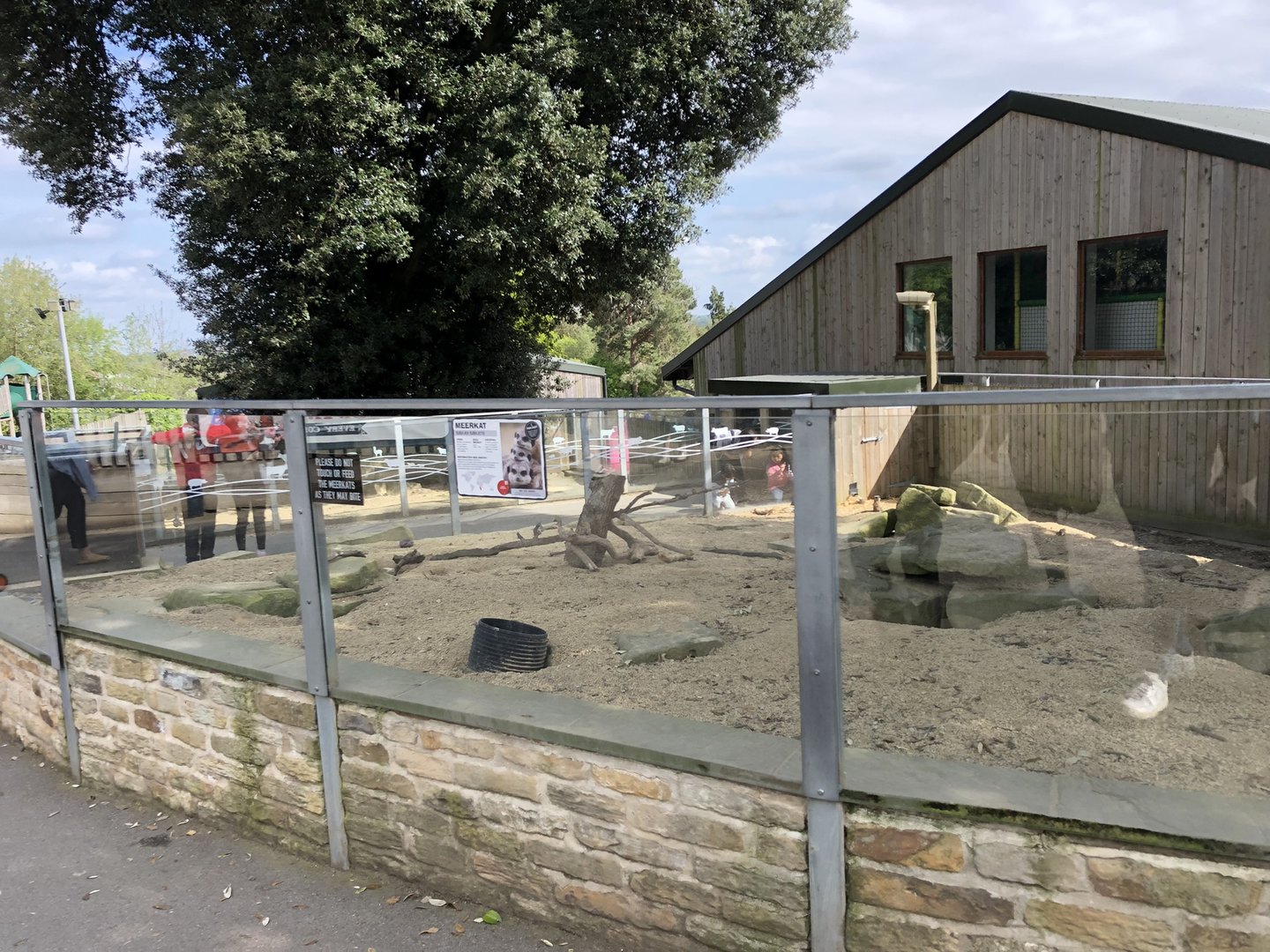 Meerkat Enclosure at Cannon Hall Farm (May 2022)