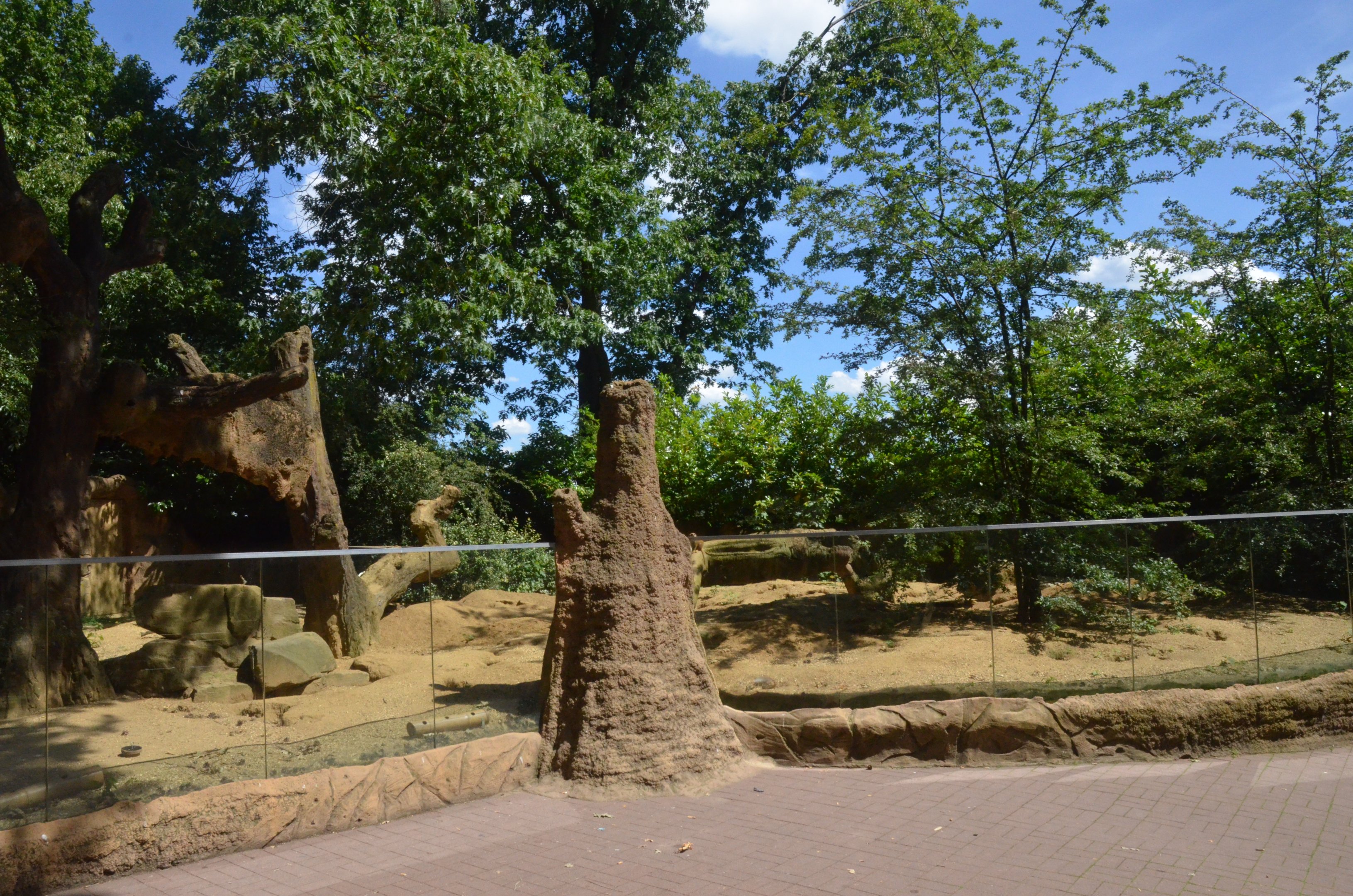 Meerkat Enclosure at Duisburg, 17/06/19