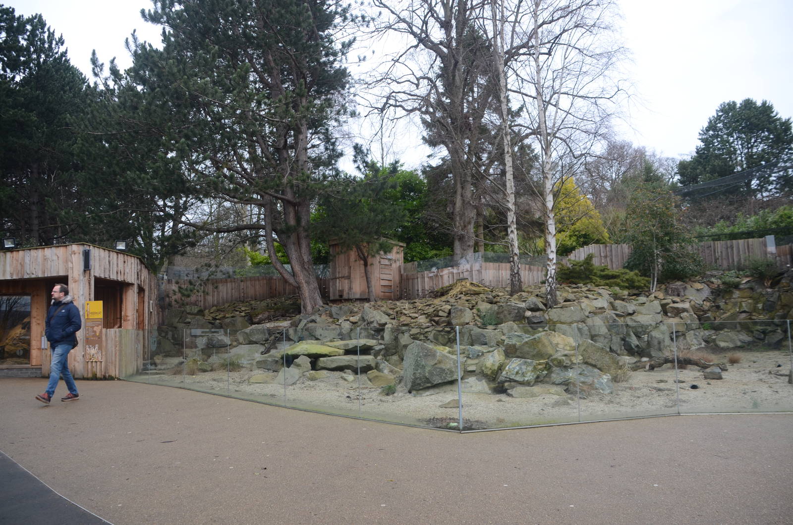 Meerkat Enclosure at Edinburgh, 06/02/16