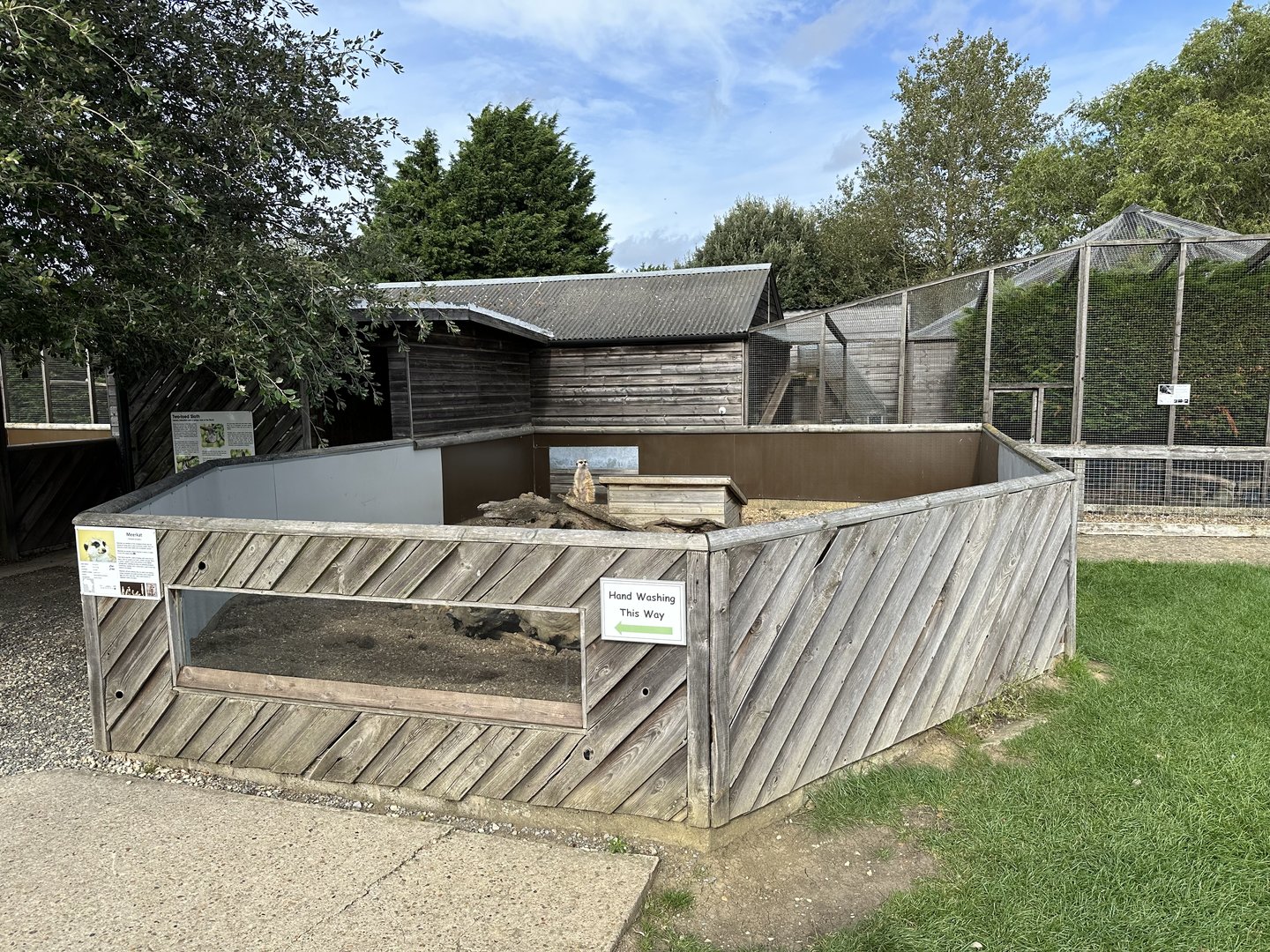 Meerkat Enclosure at Hamerton Zoo Park (October 2023)