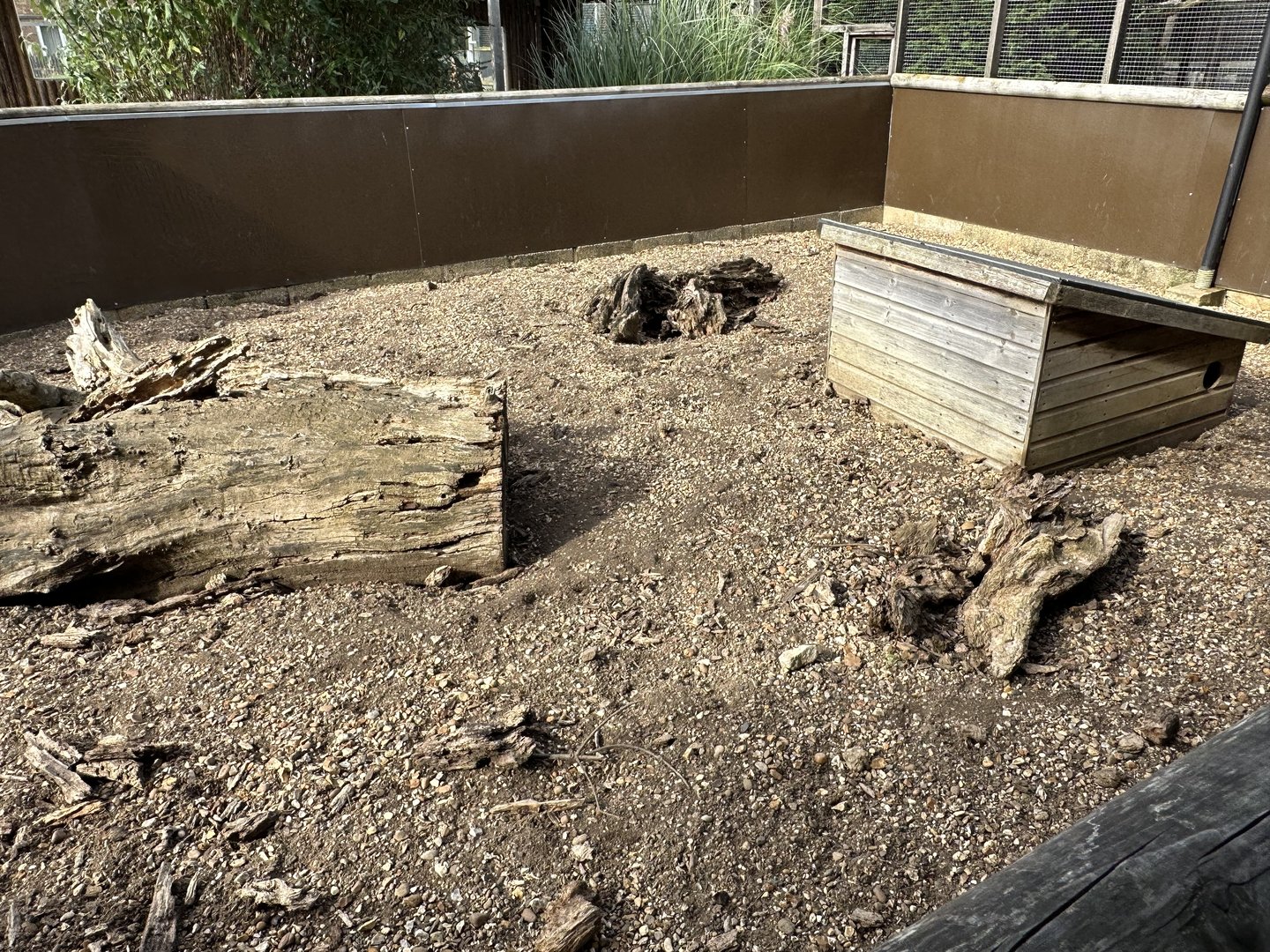 Meerkat Enclosure at Hamerton Zoo Park (October 2023)