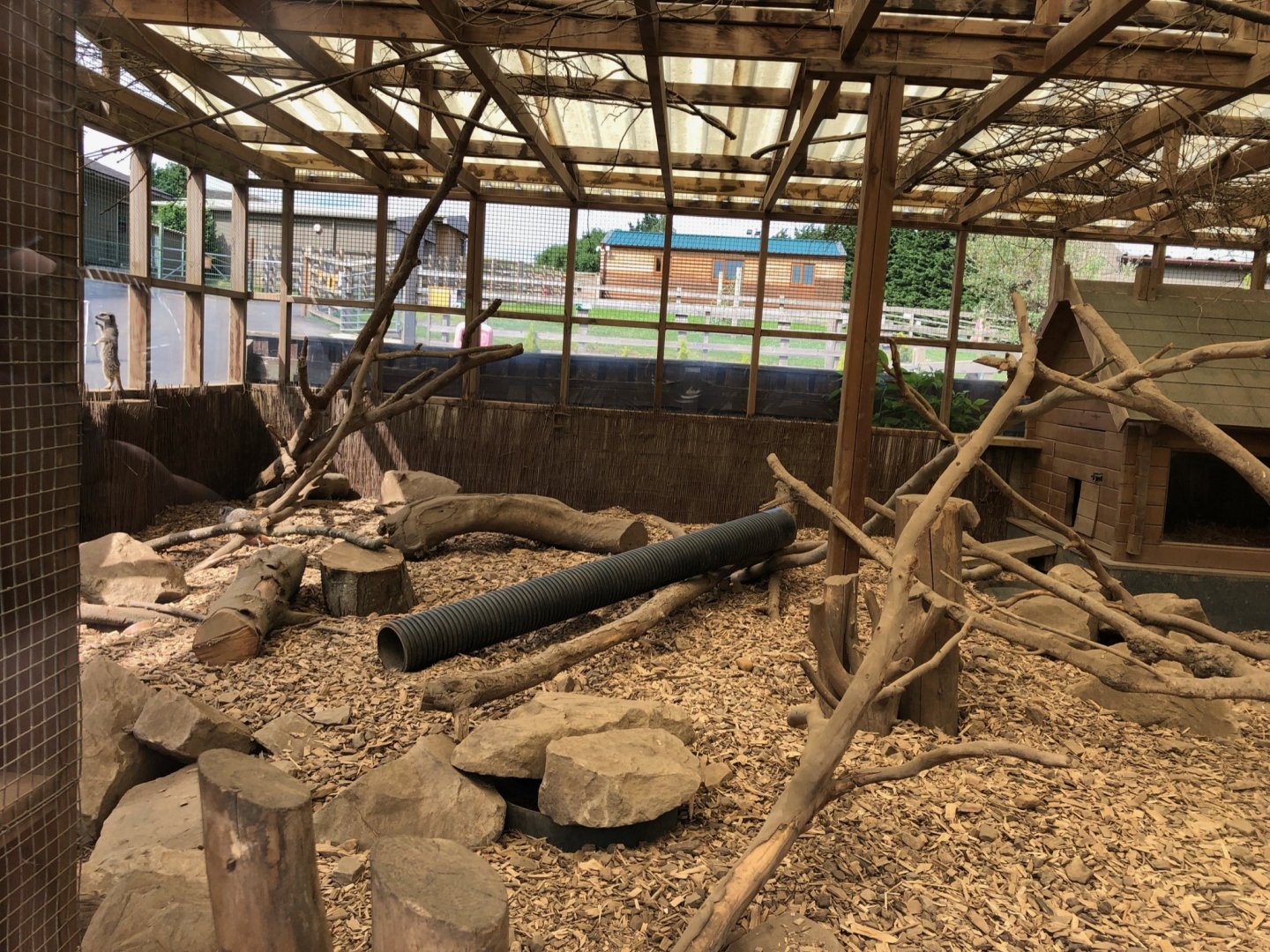 Meerkat Enclosure at Ponderosa Zoo (July 2021)