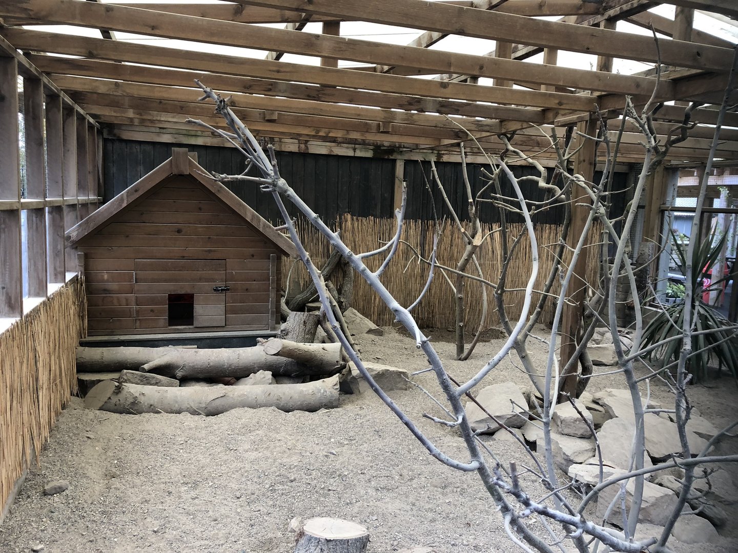 Meerkat Enclosure at Ponderosa Zoo (October 2022)