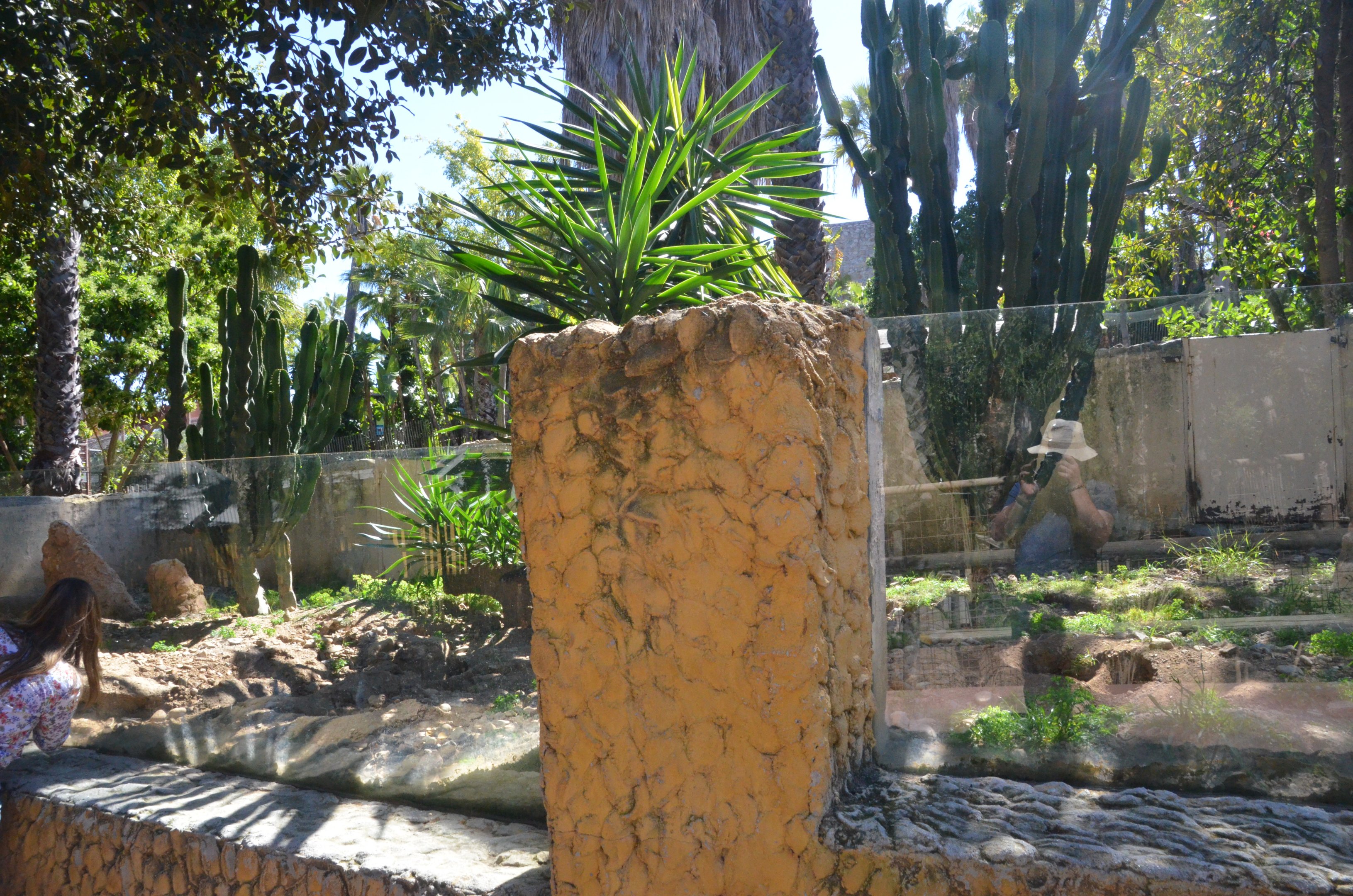 Meerkat Enclosure at Selwo Aventura, 13/03/19
