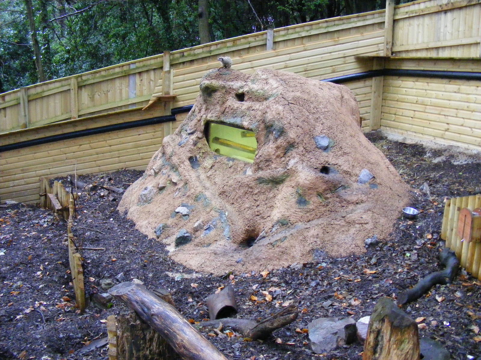 Meerkat enclosure at Shaldon Zoo, 28 December 2010