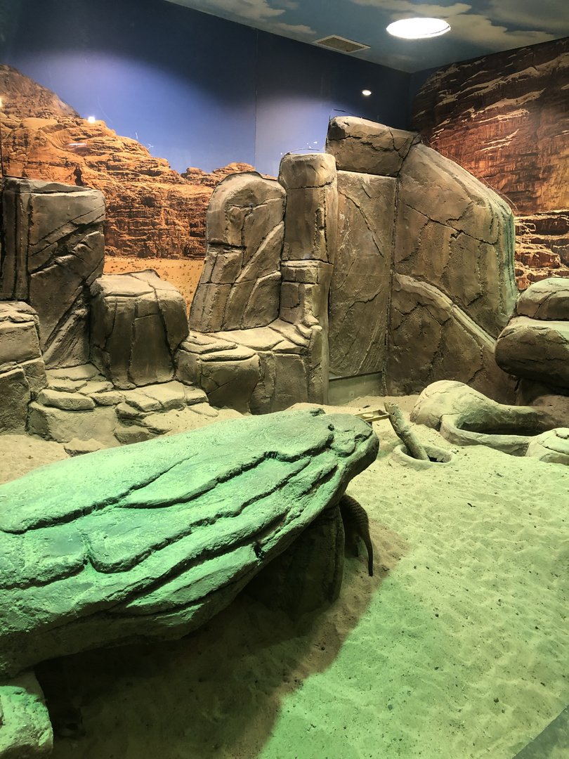 Meerkat enclosure at the Emaar aquarium