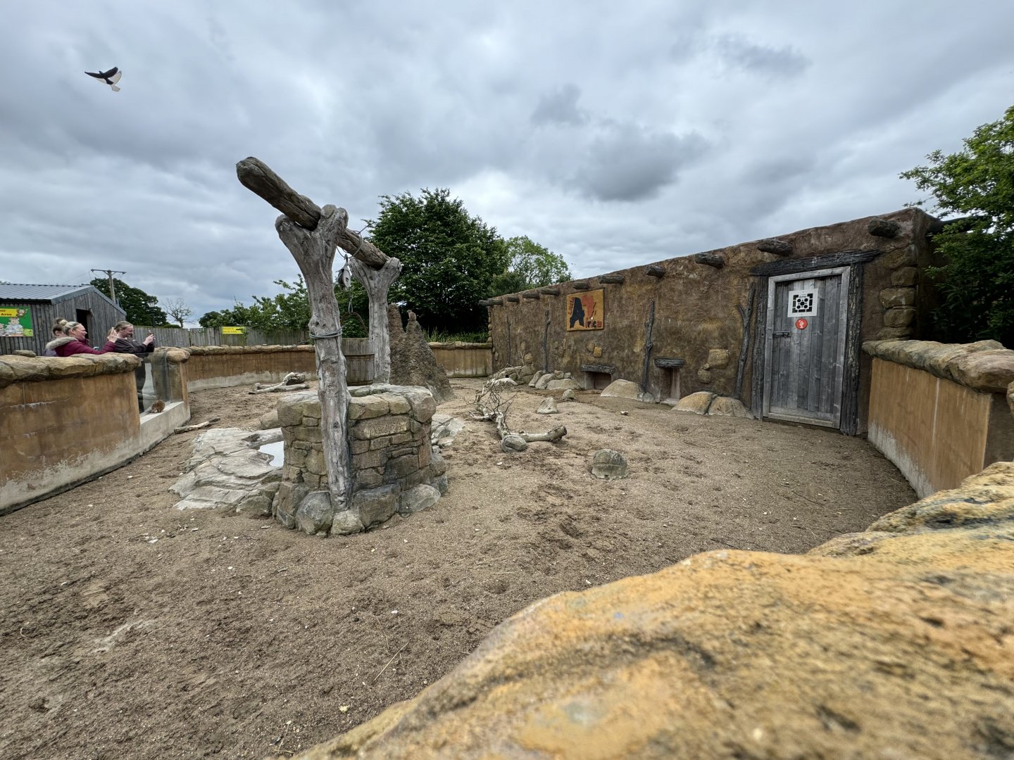 Meerkat Enclosure at Woodside Wildlife Park (May 2024)