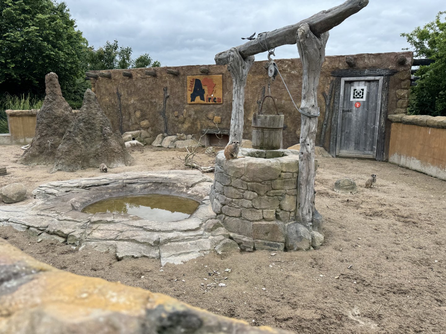 Meerkat Enclosure at Woodside Wildlife Park (May 2024)