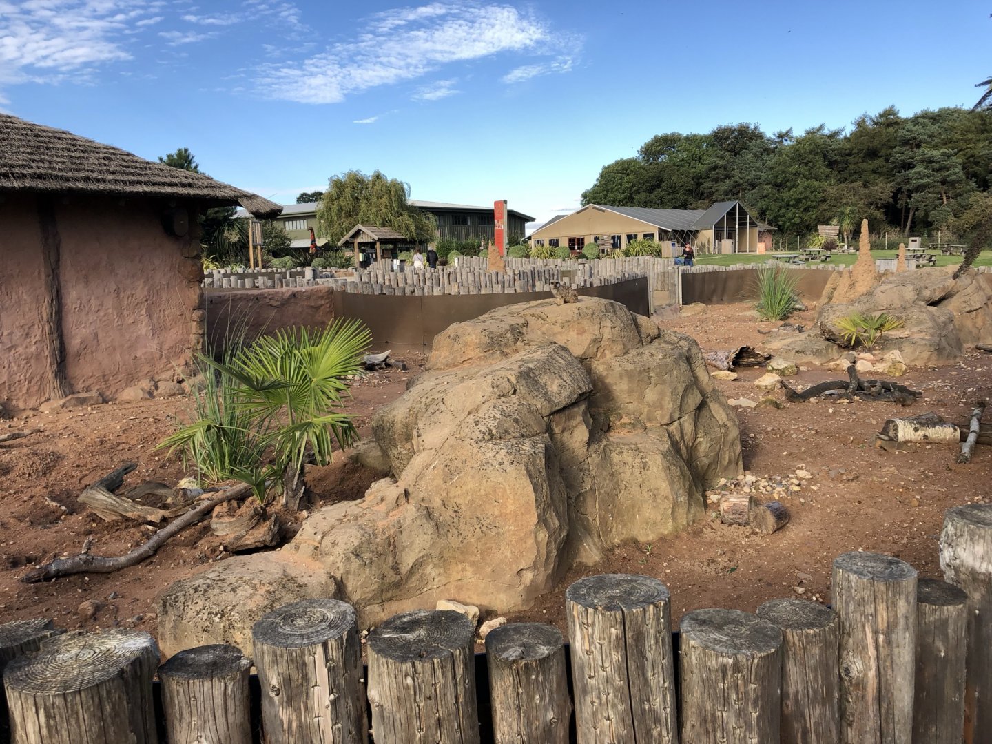 Meerkat Enclosure at Yorkshire Wildlife Park (October 2021)