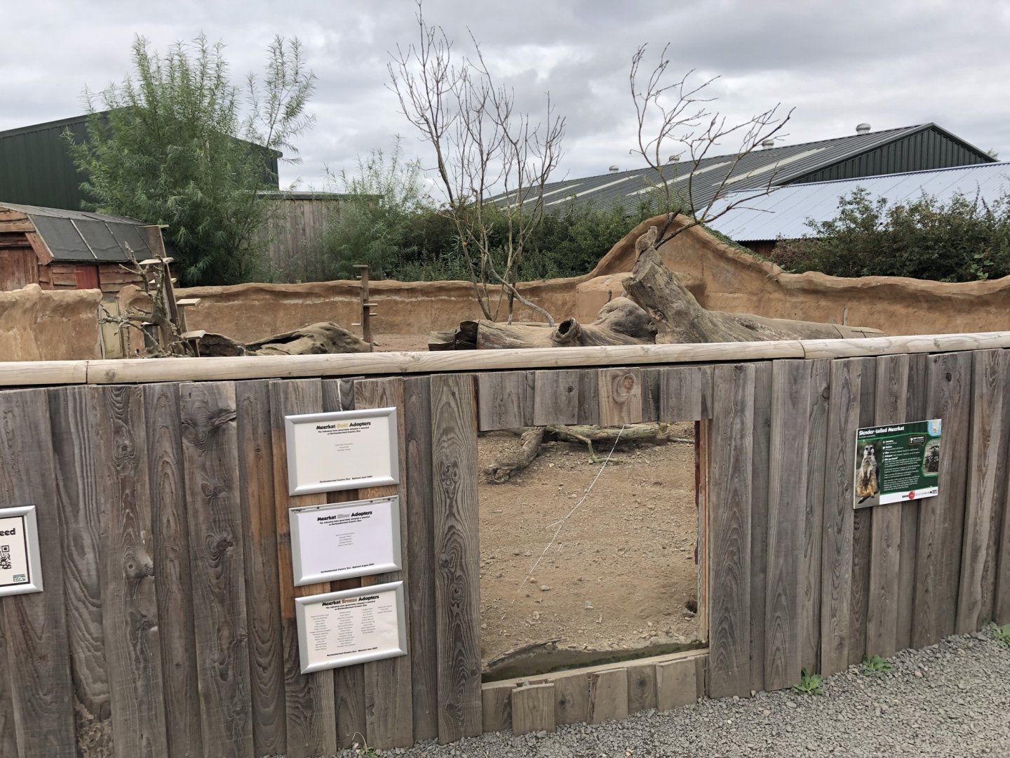 Meerkat Enclosure Broken Window at Northumberland Country Zoo (September 2021)