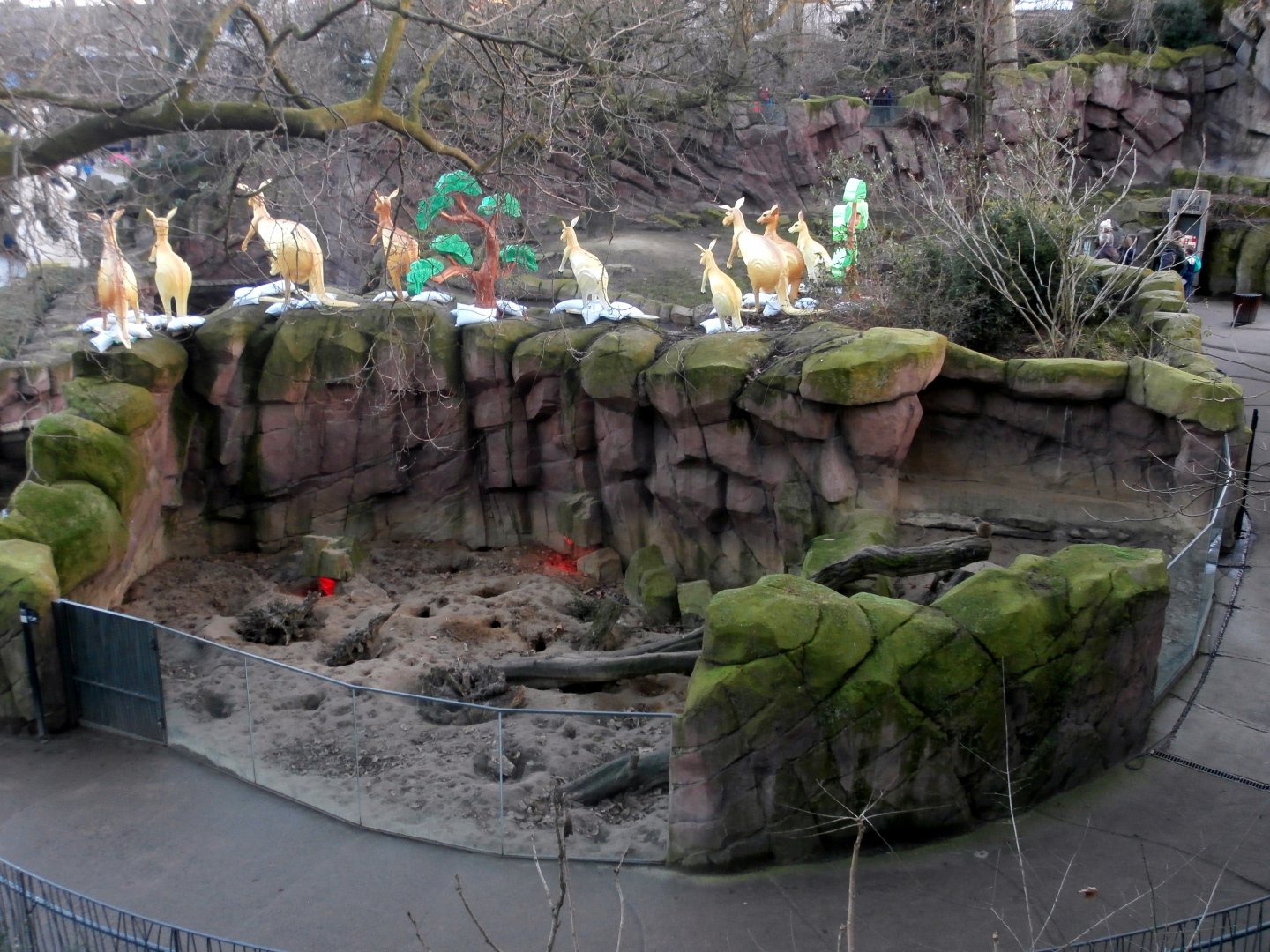 Meerkat enclosure from above
