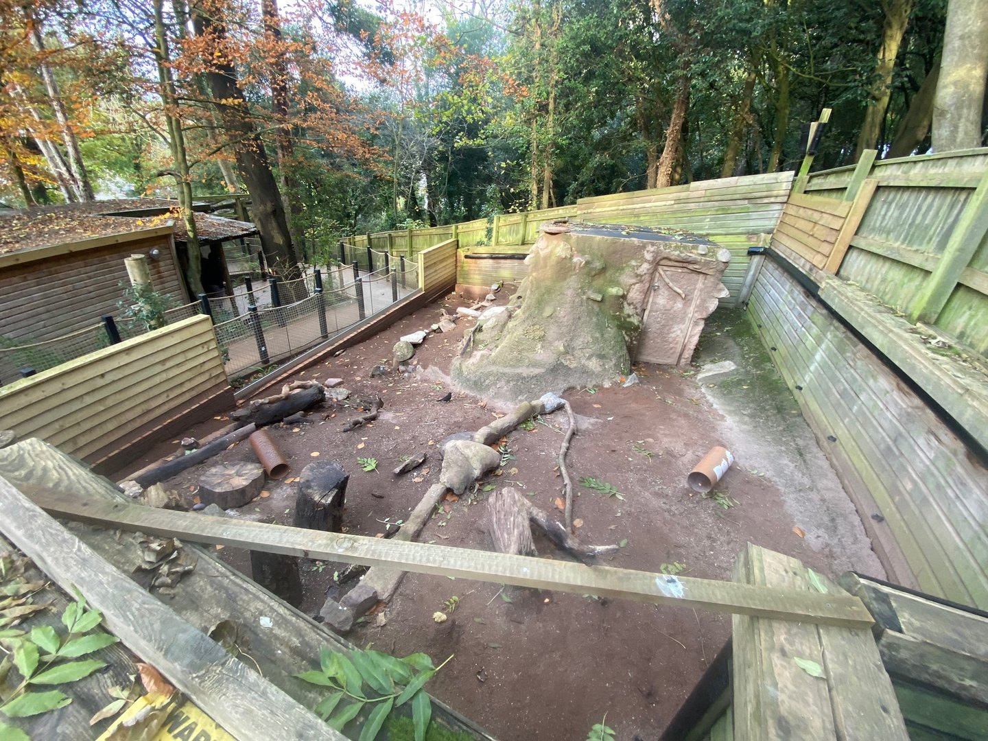 Meerkat enclosure from seating area 111222
