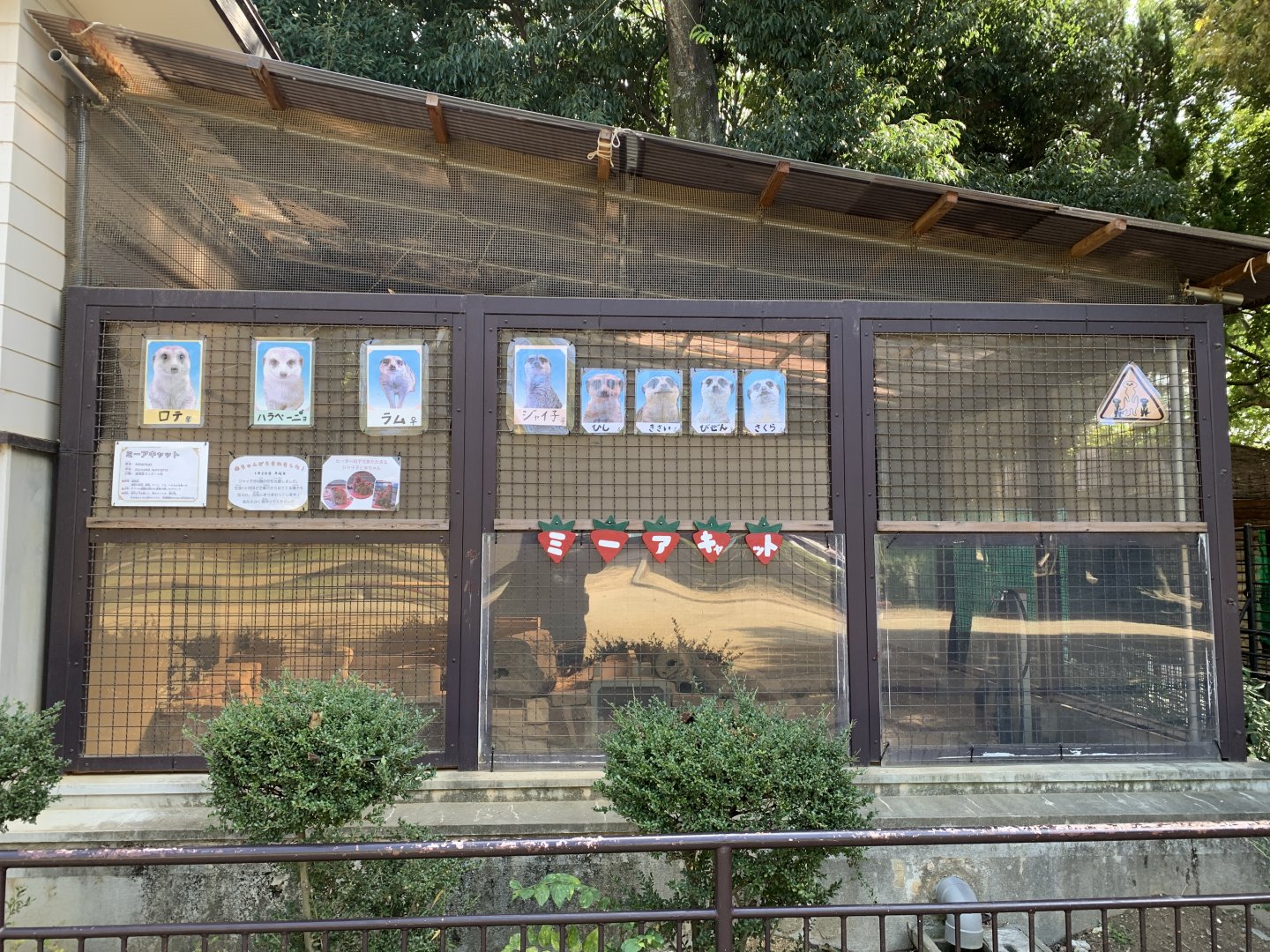 Meerkat Enclosure (Himeji City Zoo)
