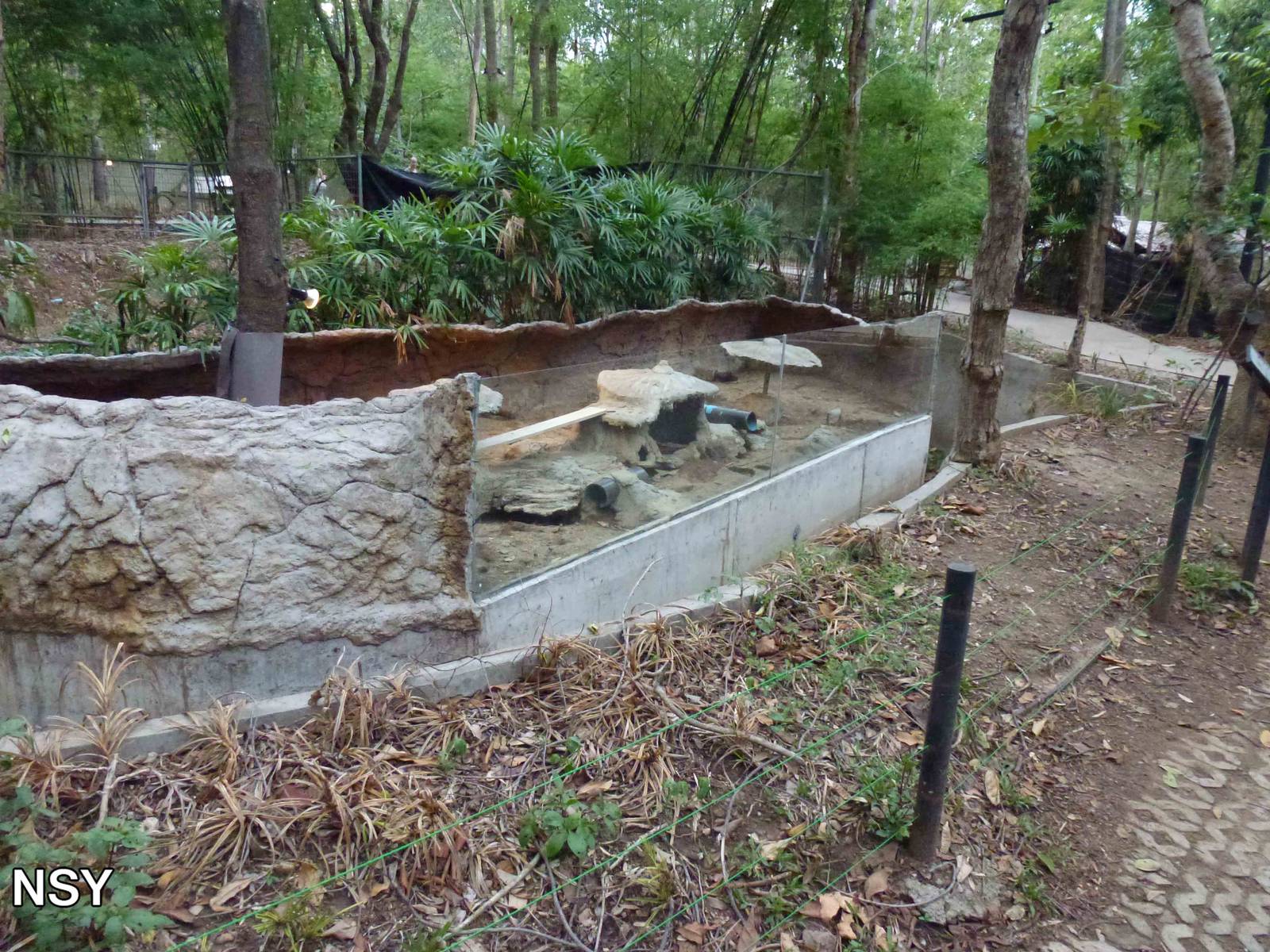 Meerkat enclosure, June 2013.