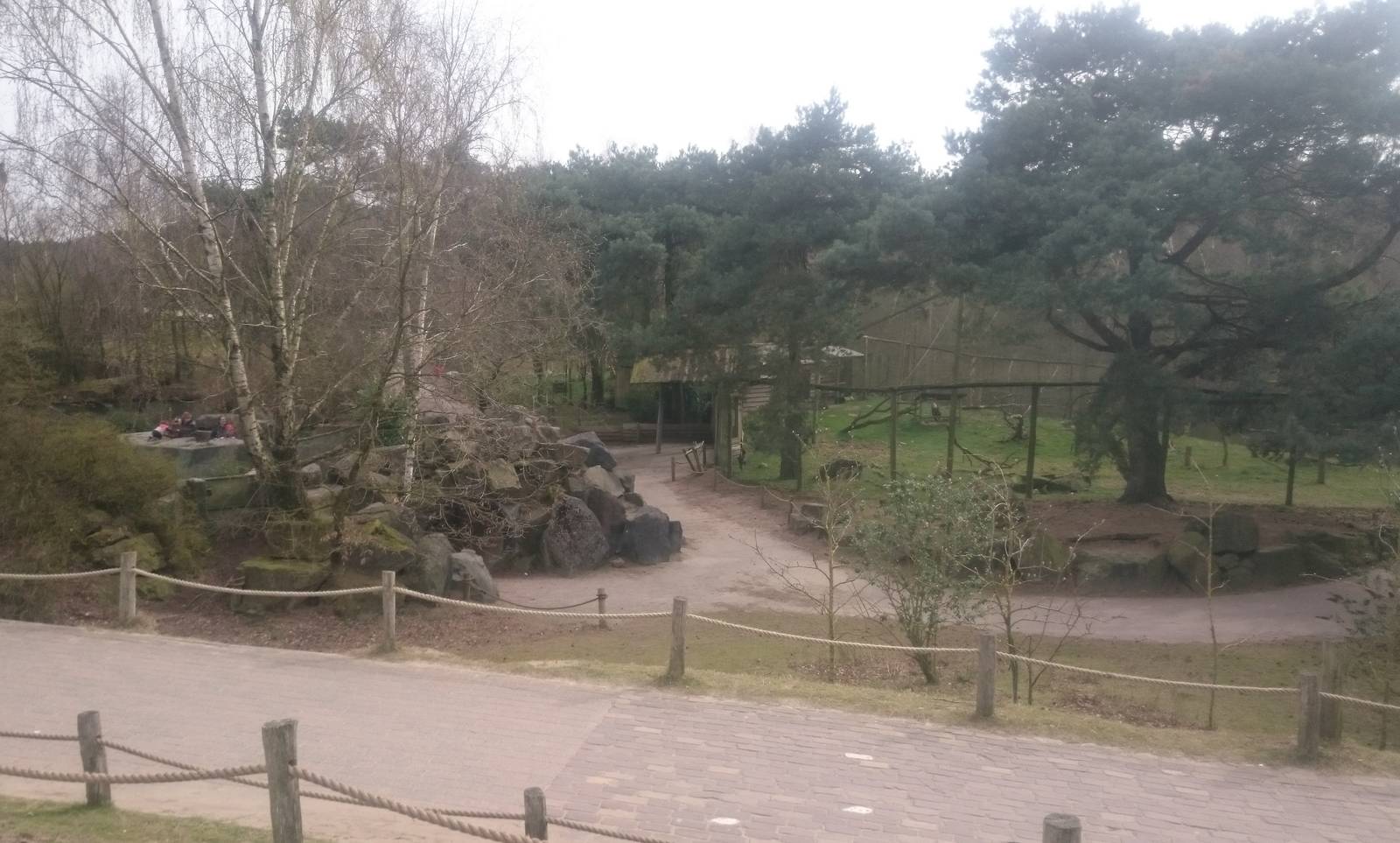 Meerkat enclosure - left - and Hornbill-vulture aviary - right