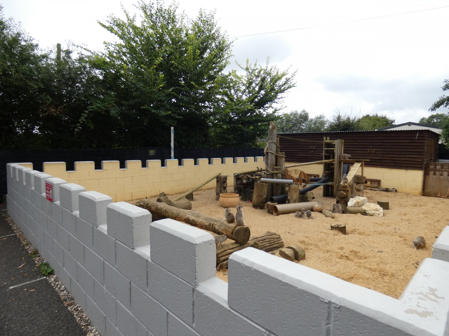 Meerkat enclosure 'Meerkat Kastle' (Suffolk Owl Sanctuary)