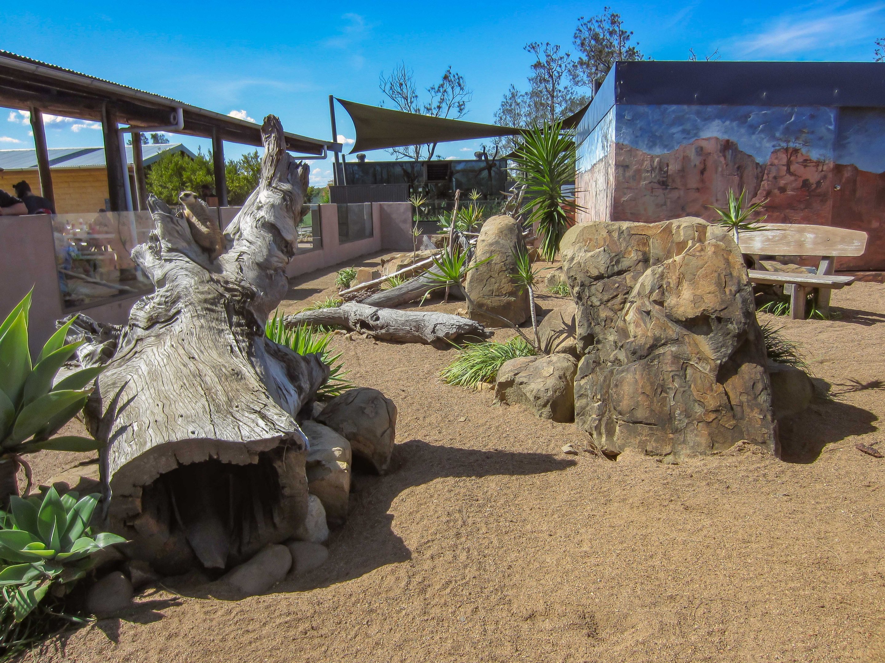 Meerkat enclosure (meerkat on log on left)