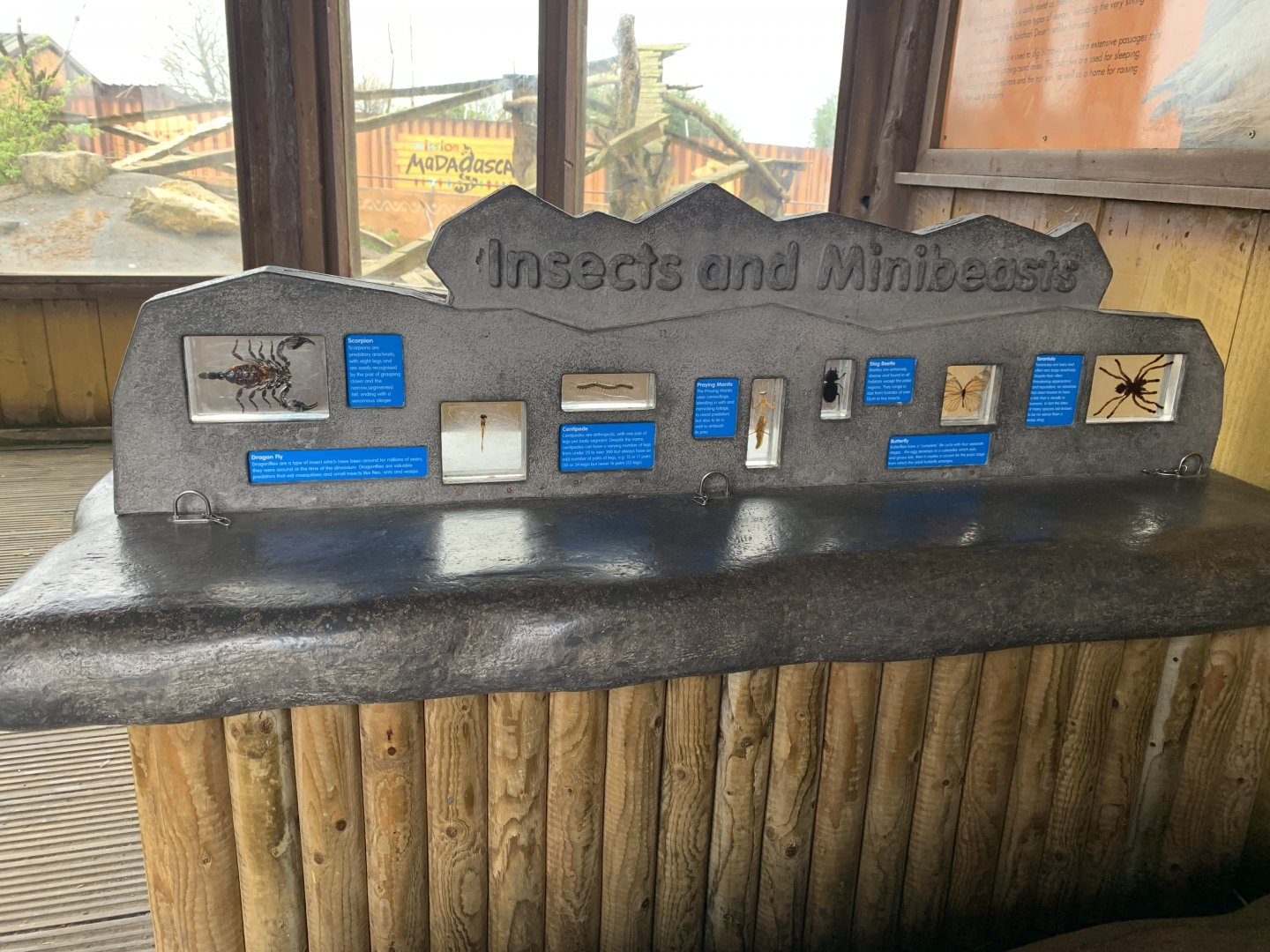 Meerkat enclosure - Mini Beast Display