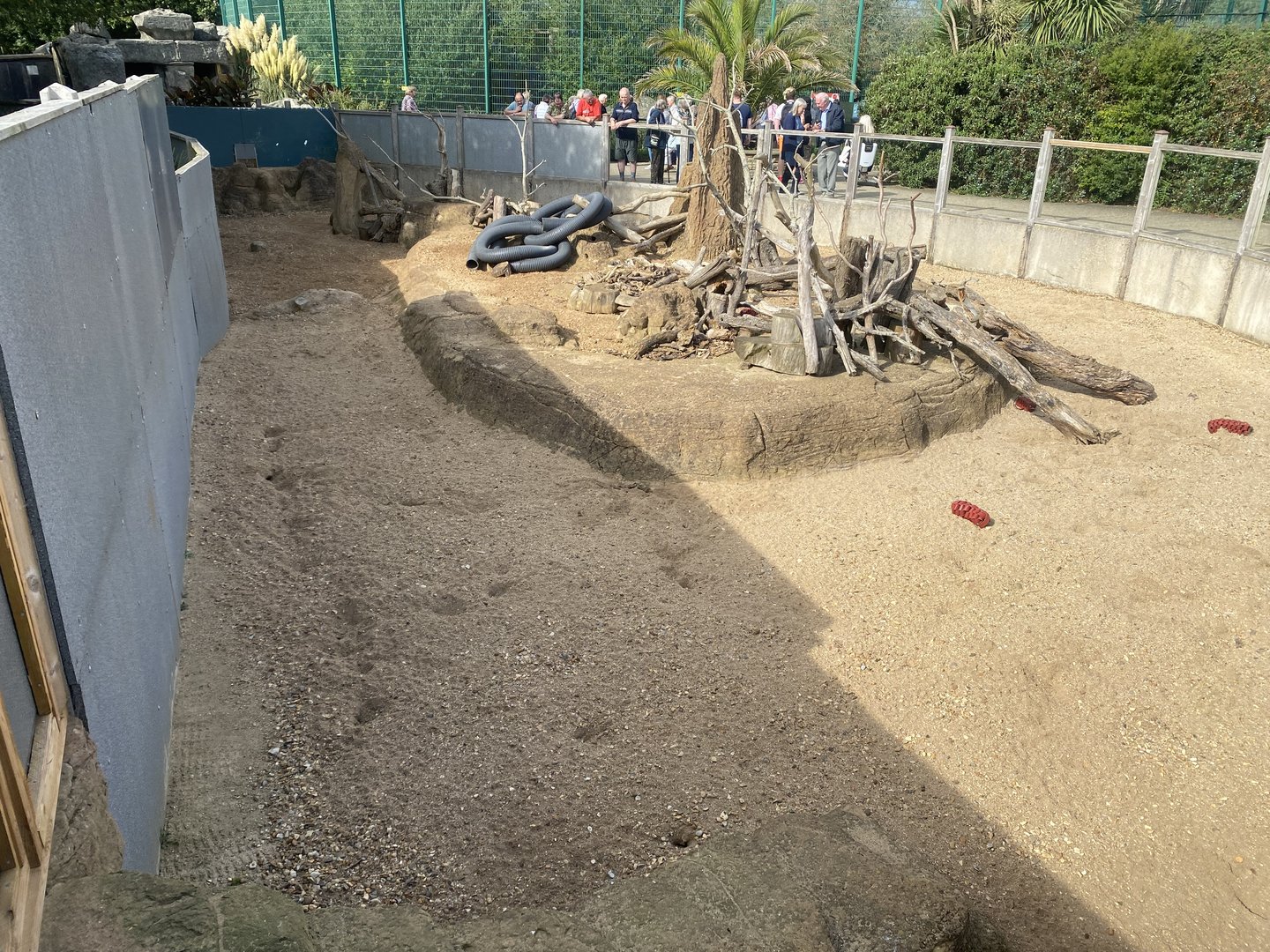 Meerkat enclosure no.2 130923