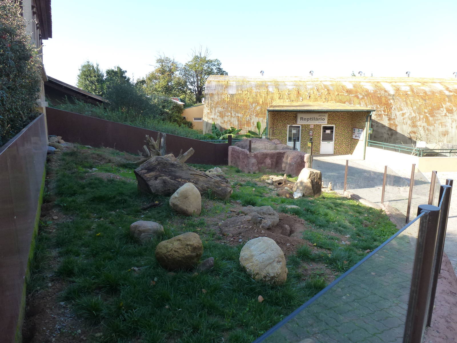 Meerkat enclosure, November 2013.