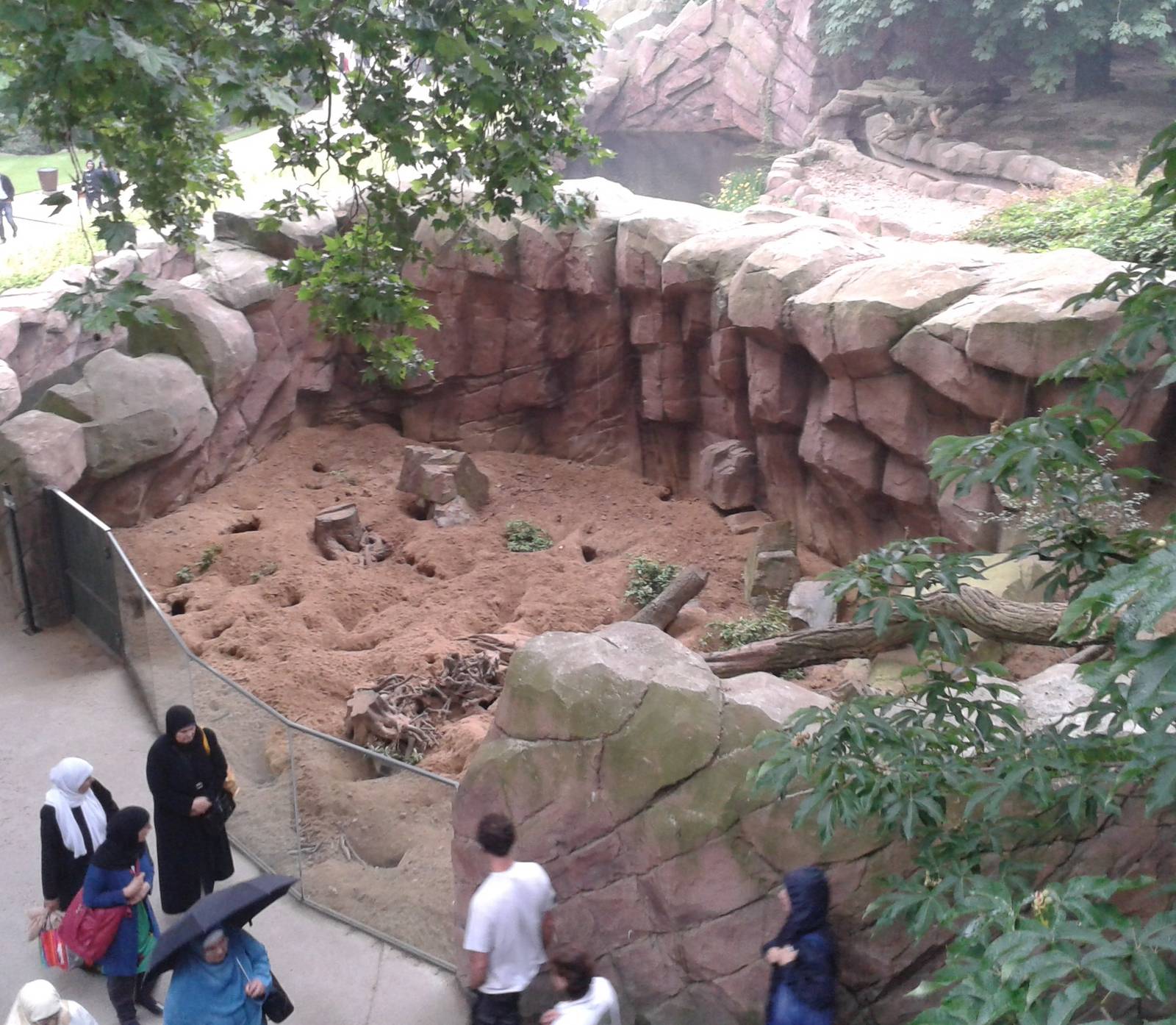 Meerkat enclosure number 2