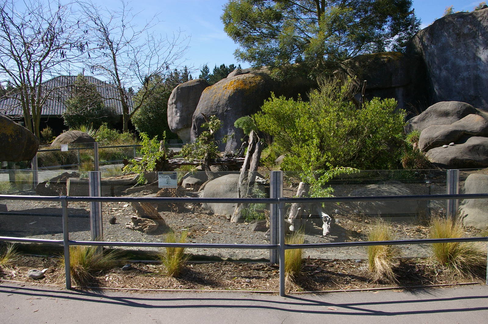 meerkat enclosure, Orana Park