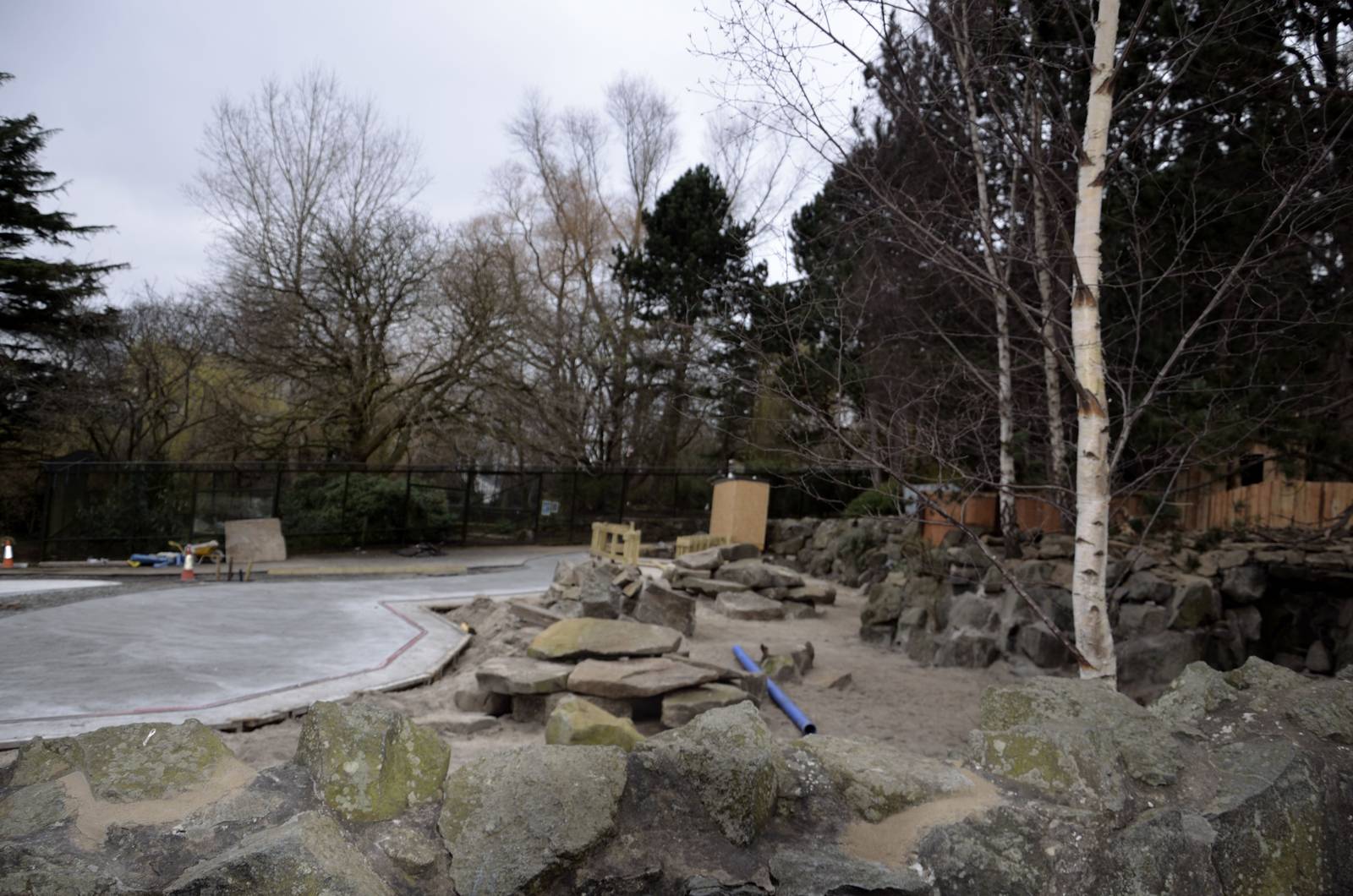 Meerkat Enclosure Progress