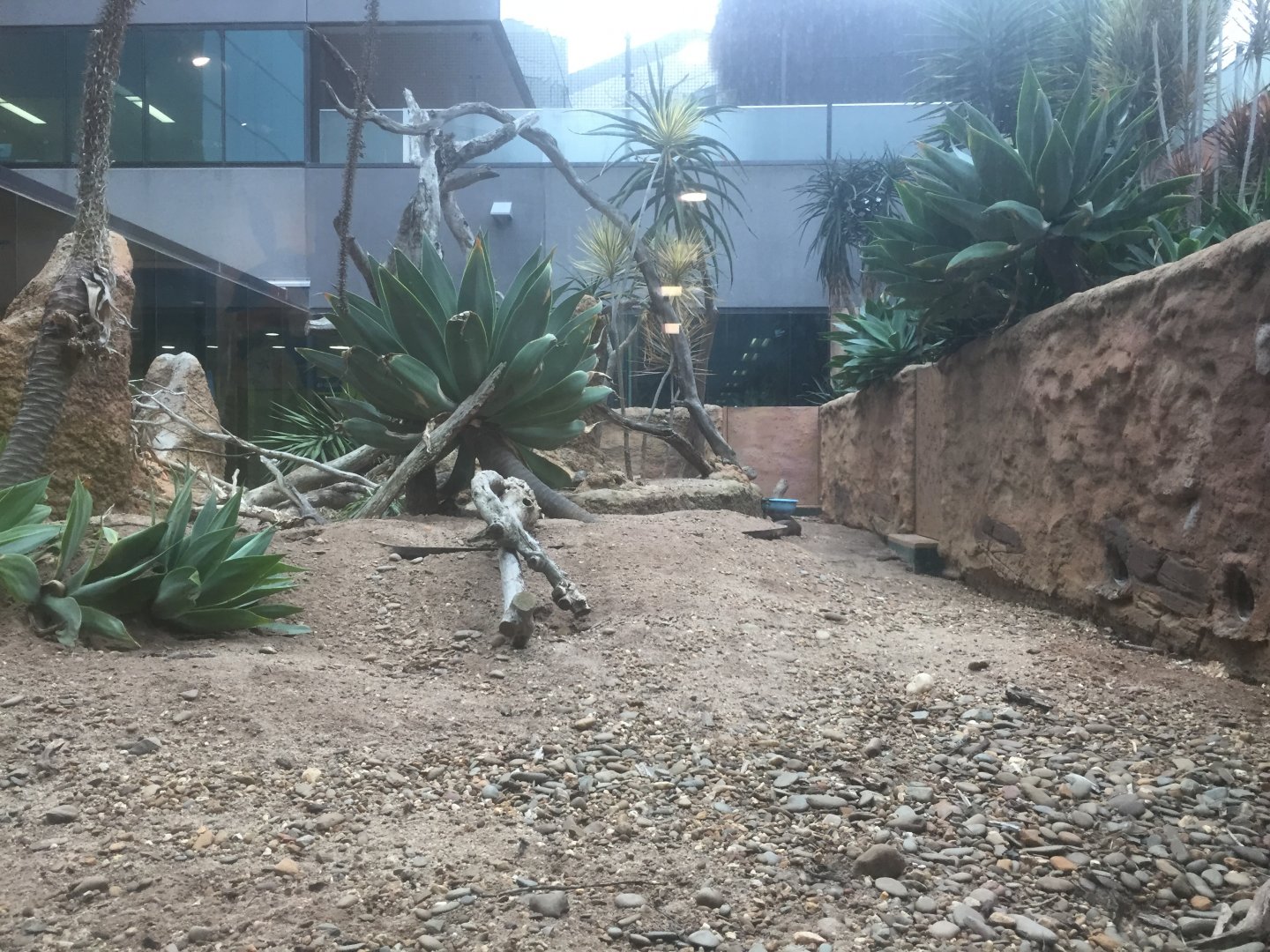 Meerkat Enclosure - Royal Children's Hospital Melbourne
