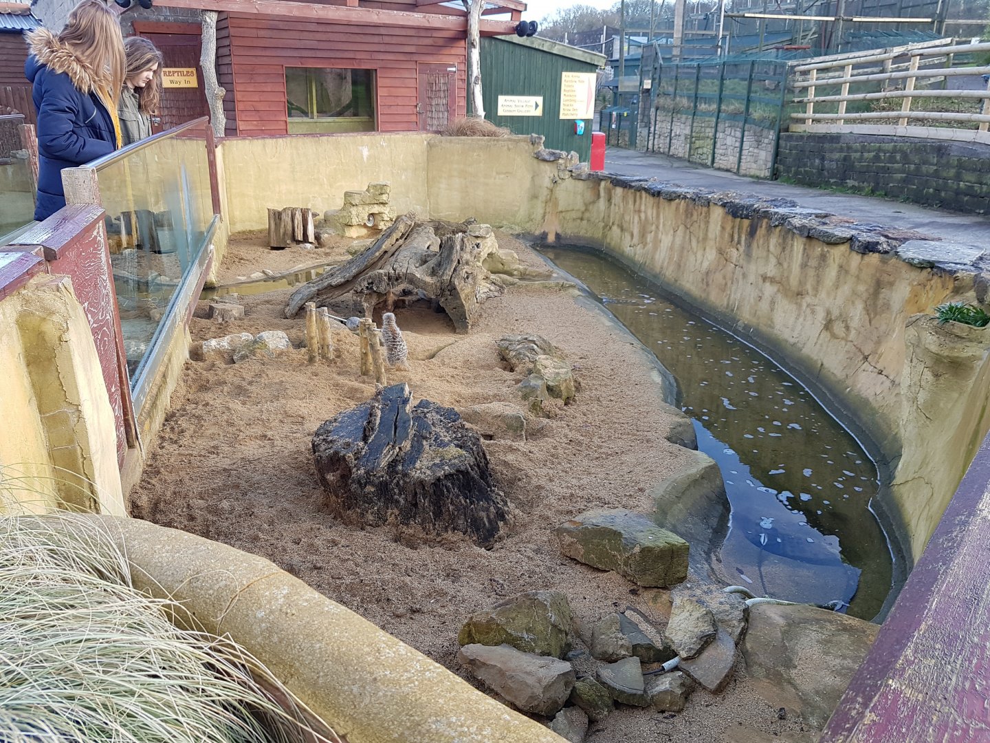 Meerkat enclosure (second half) - Noahs Ark Zoo Farm - Jan, 2017