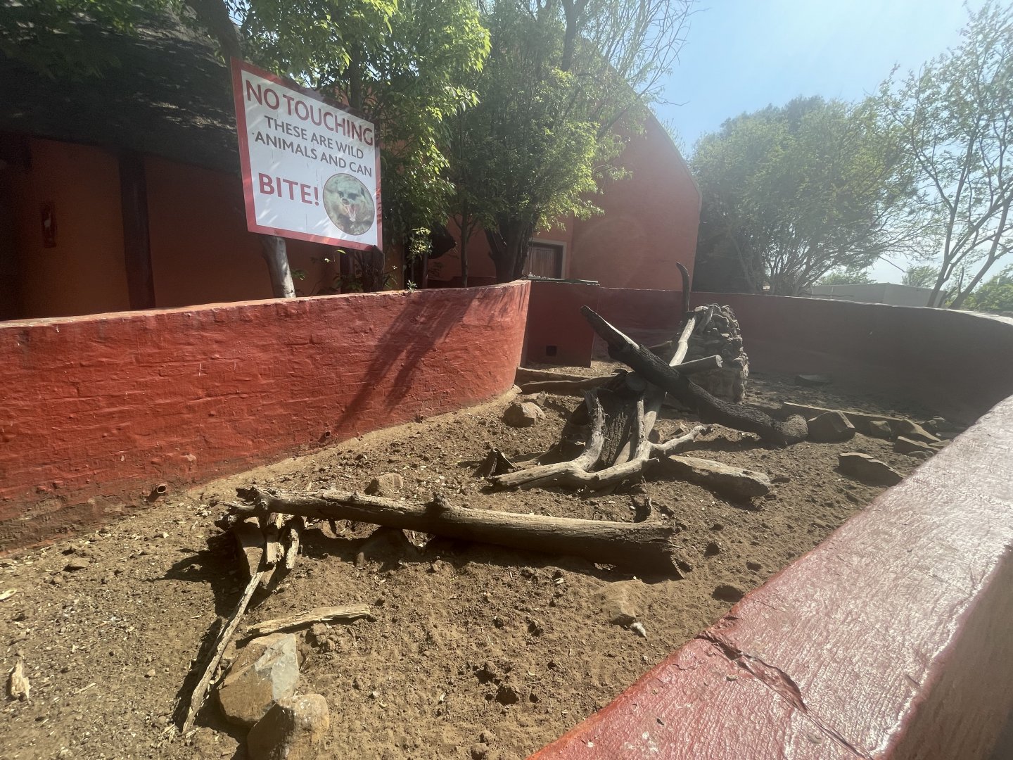 Meerkat Enclosure (Suricata suricatta)
