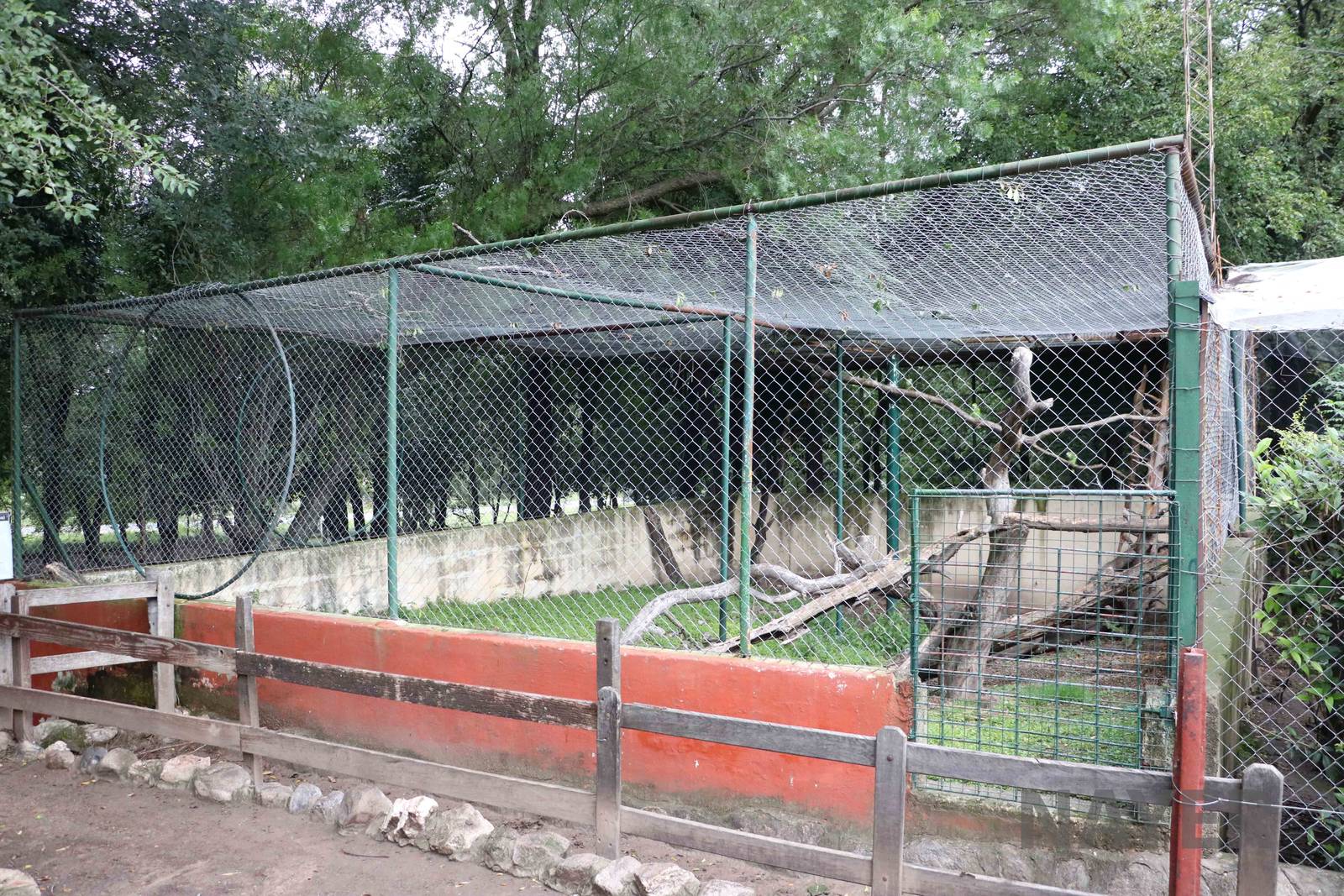 Meerkat enclosure - Tatu Carreta, April 2016.