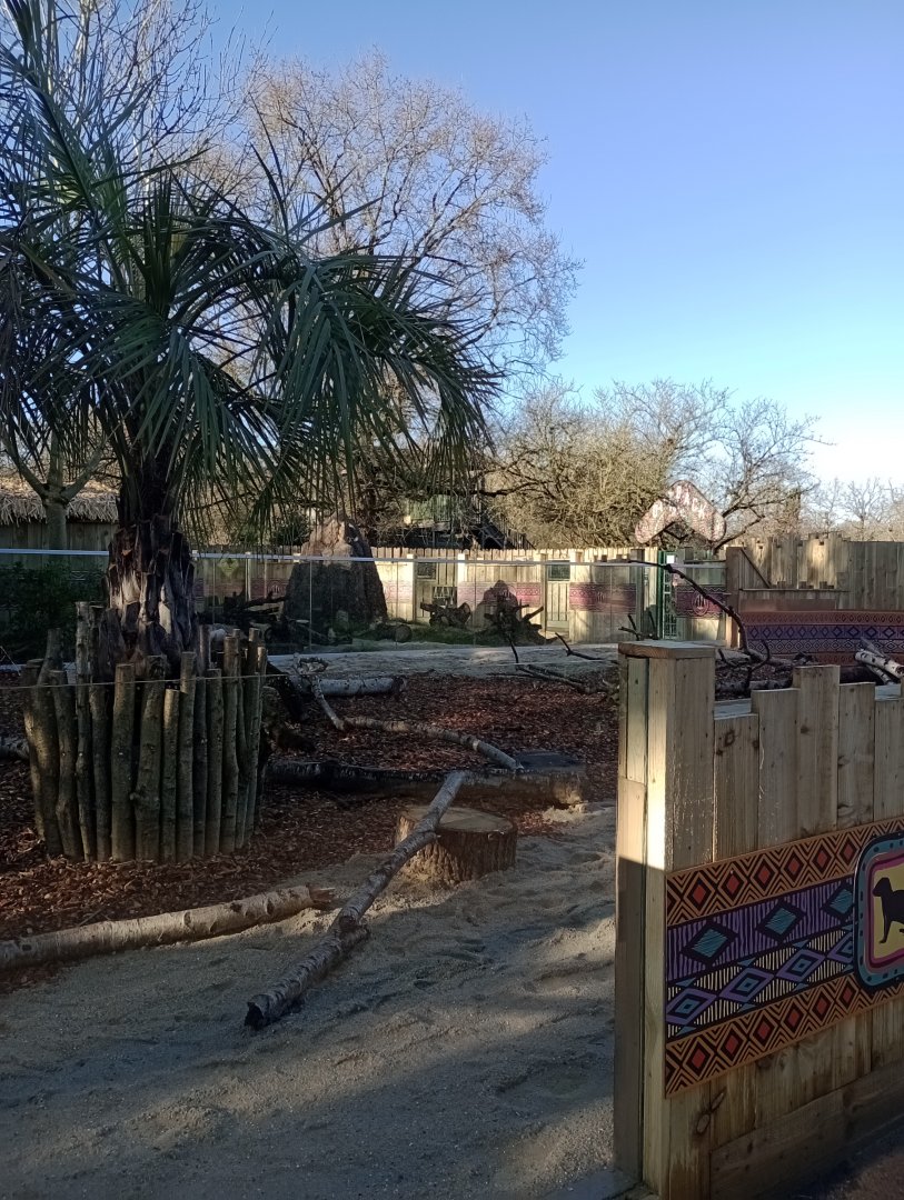 Meerkat enclosure view 1