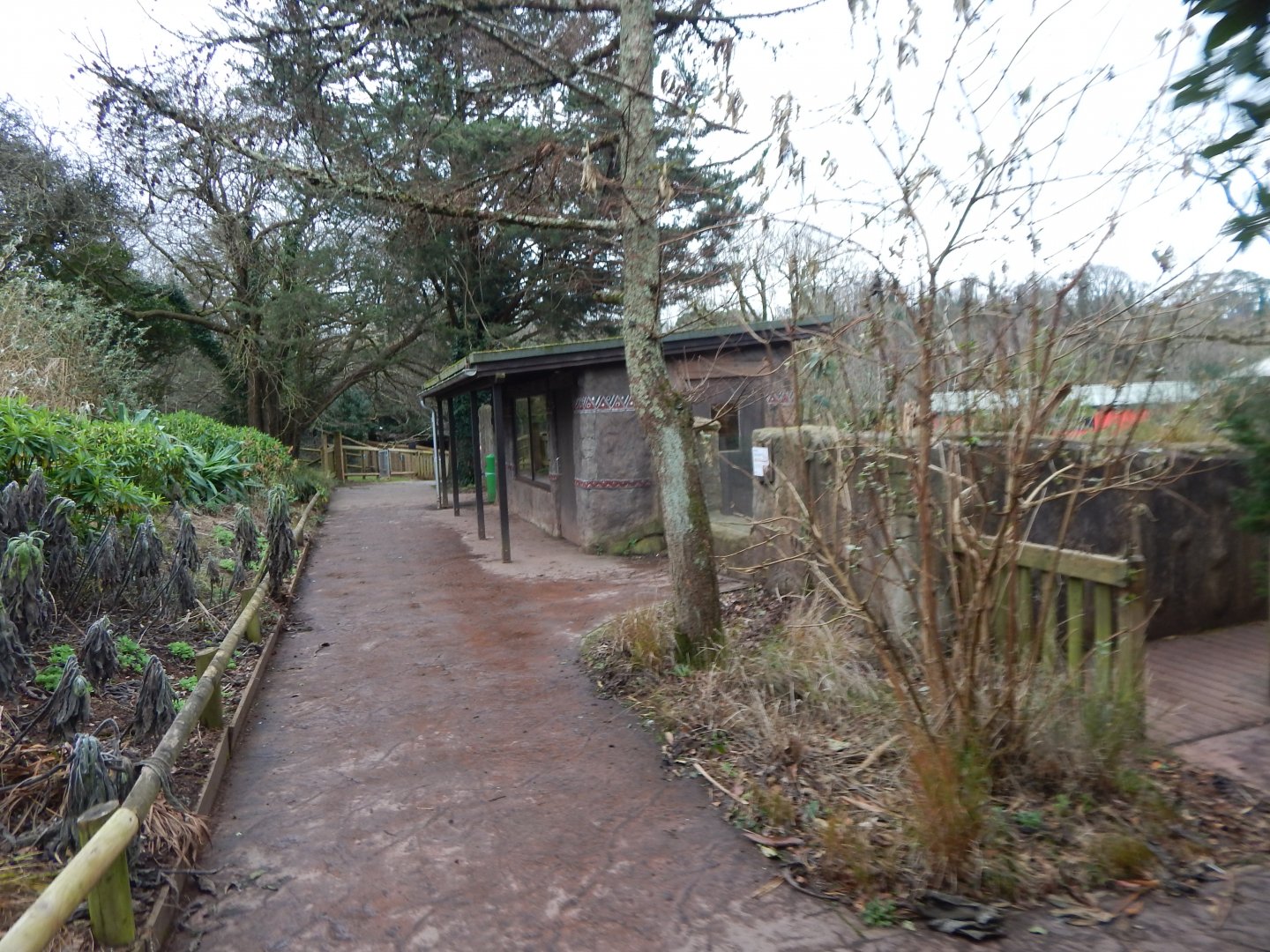 Meerkat enclosure viewpoint 050224