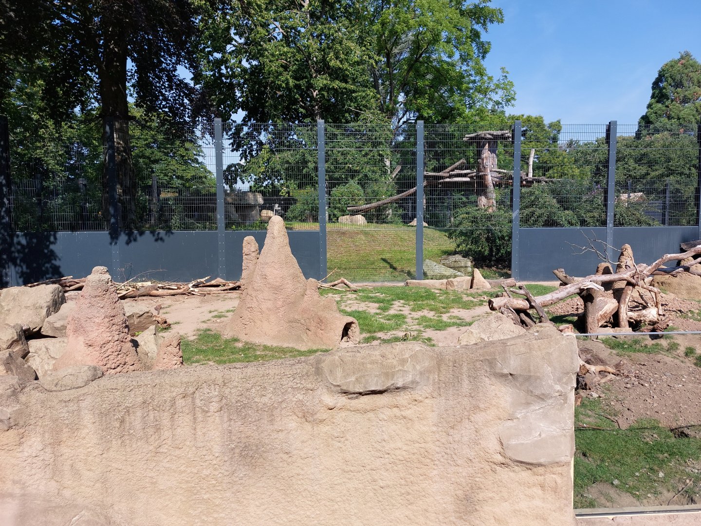 meerkat enclosure with lions in background