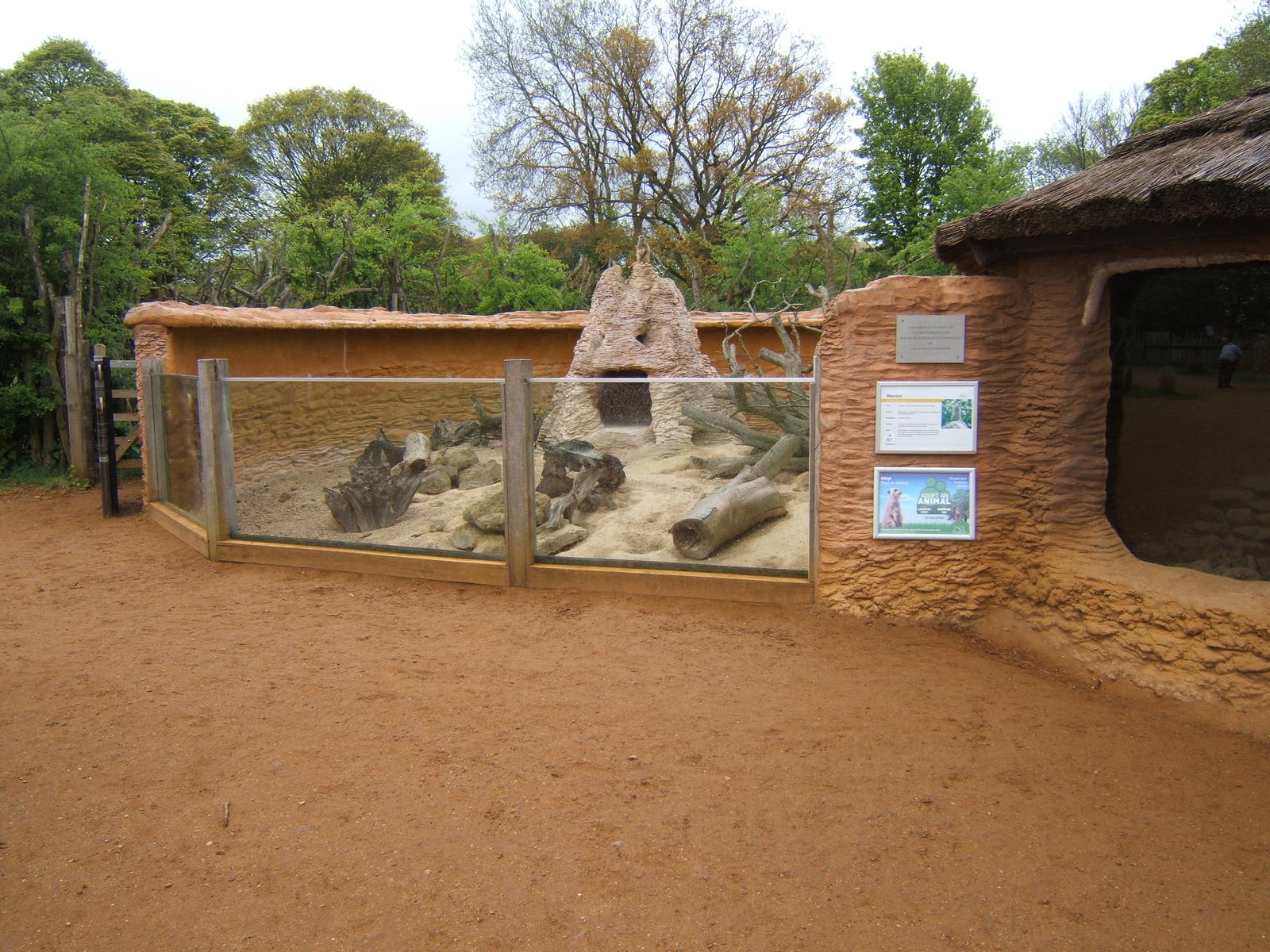 Meerkat enclosure