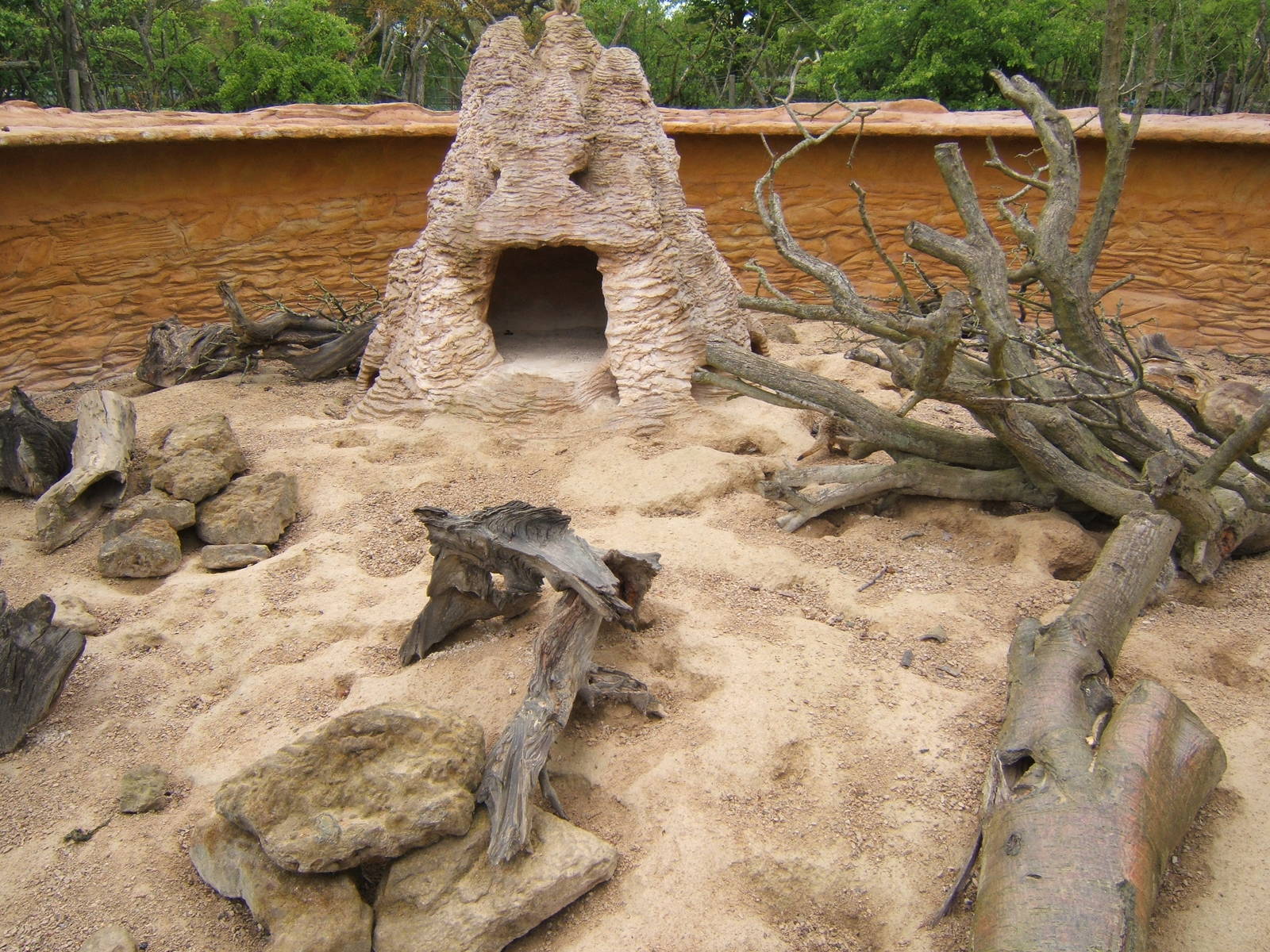 Meerkat enclosure
